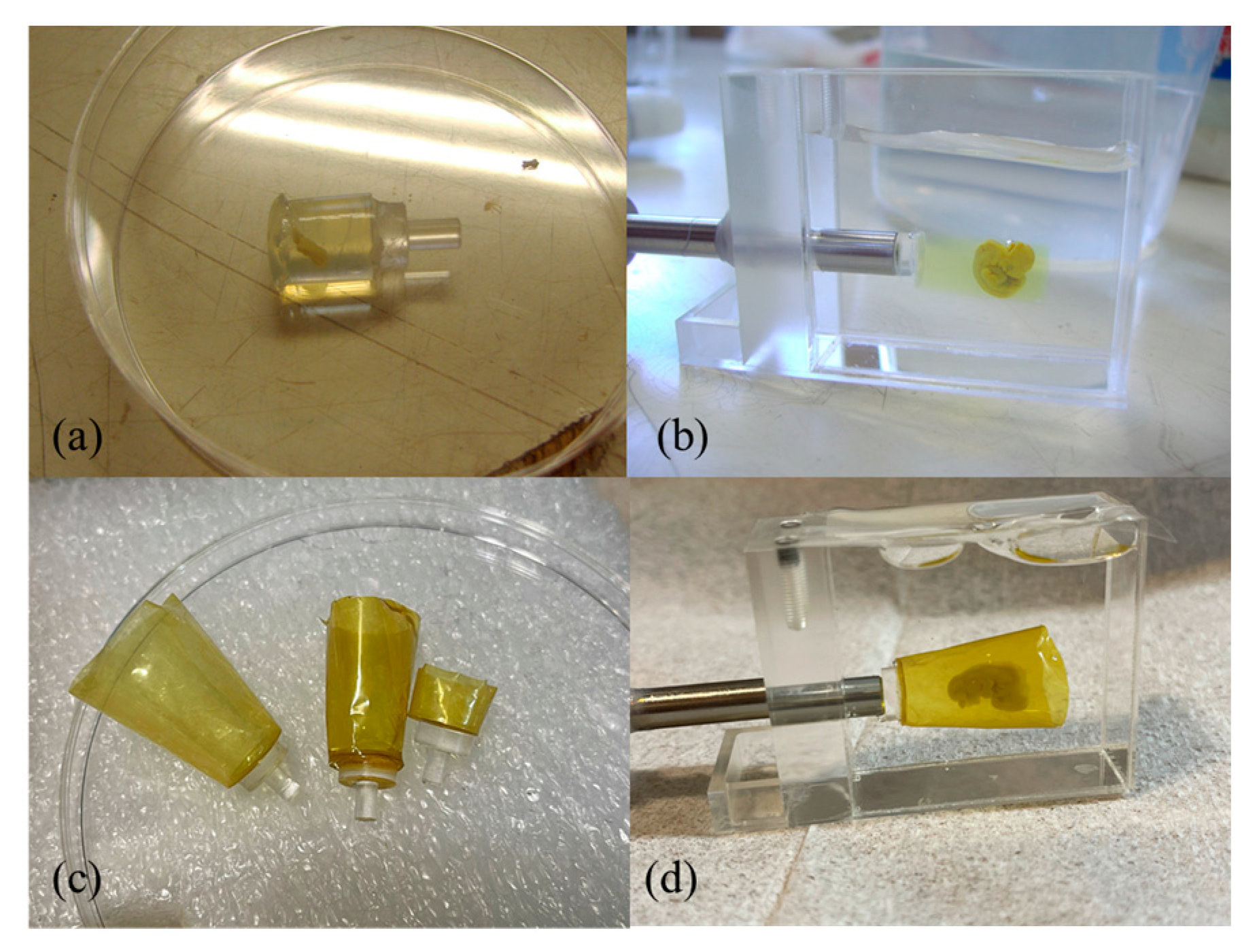 Applsci 13 05424 g010 Applsci 13 05424 g010