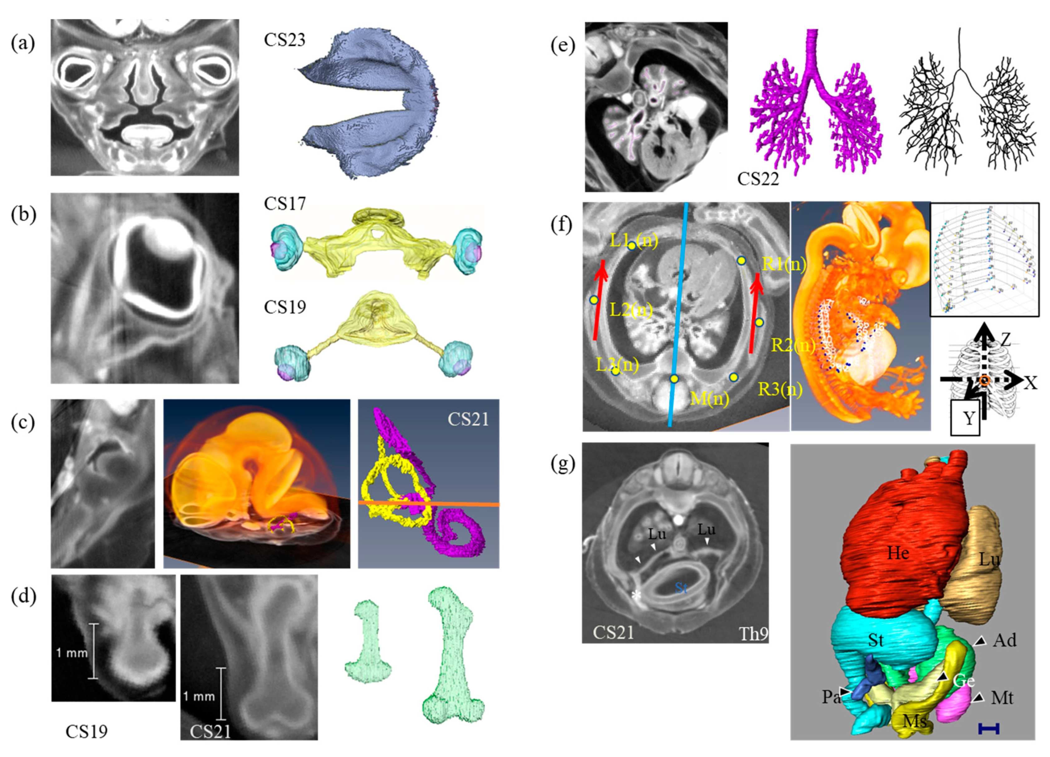 Applsci 13 05424 g011 Applsci 13 05424 g011