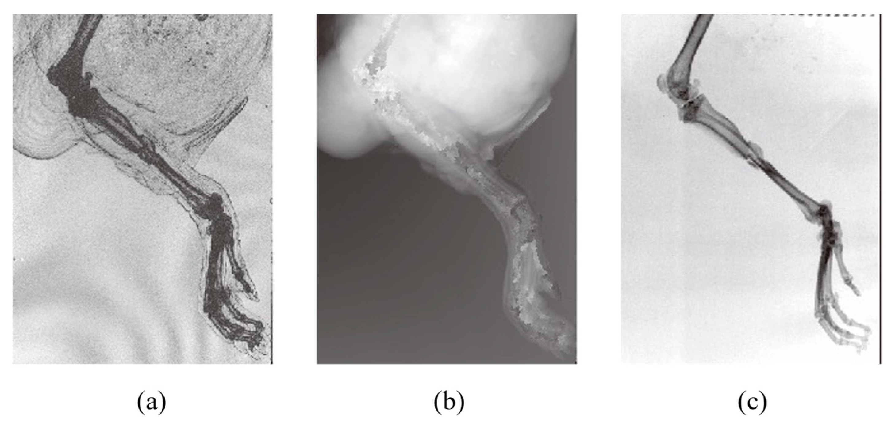 Applsci 13 05424 g020 Applsci 13 05424 g020