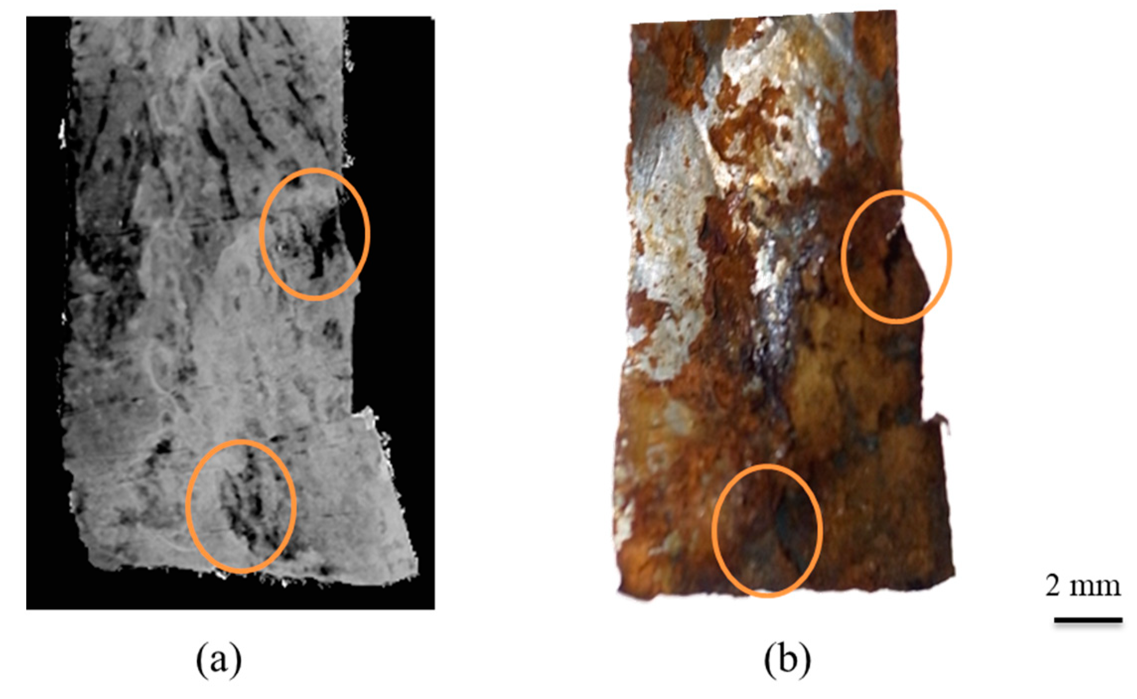 Applsci 13 05424 g022 Applsci 13 05424 g022