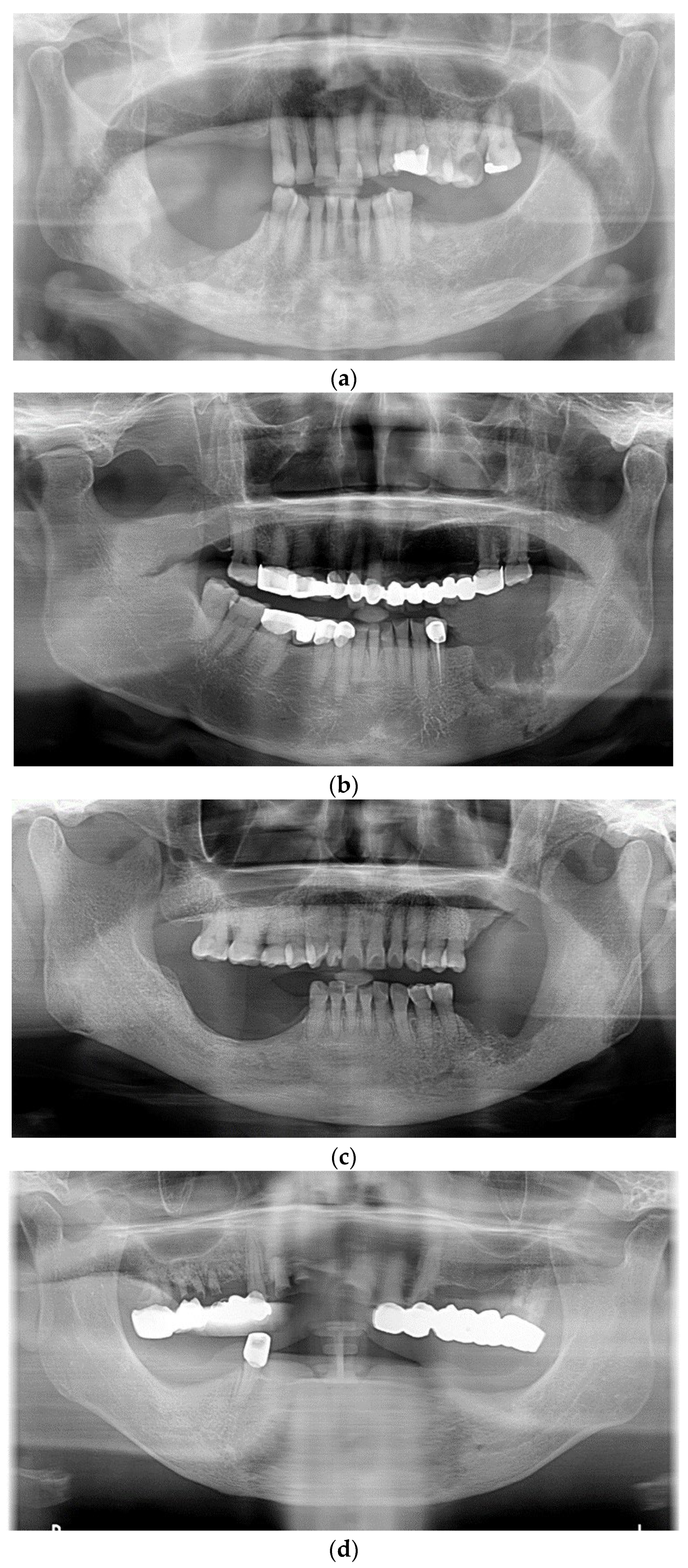 Applsci 13 05426 g002 Applsci 13 05426 g002