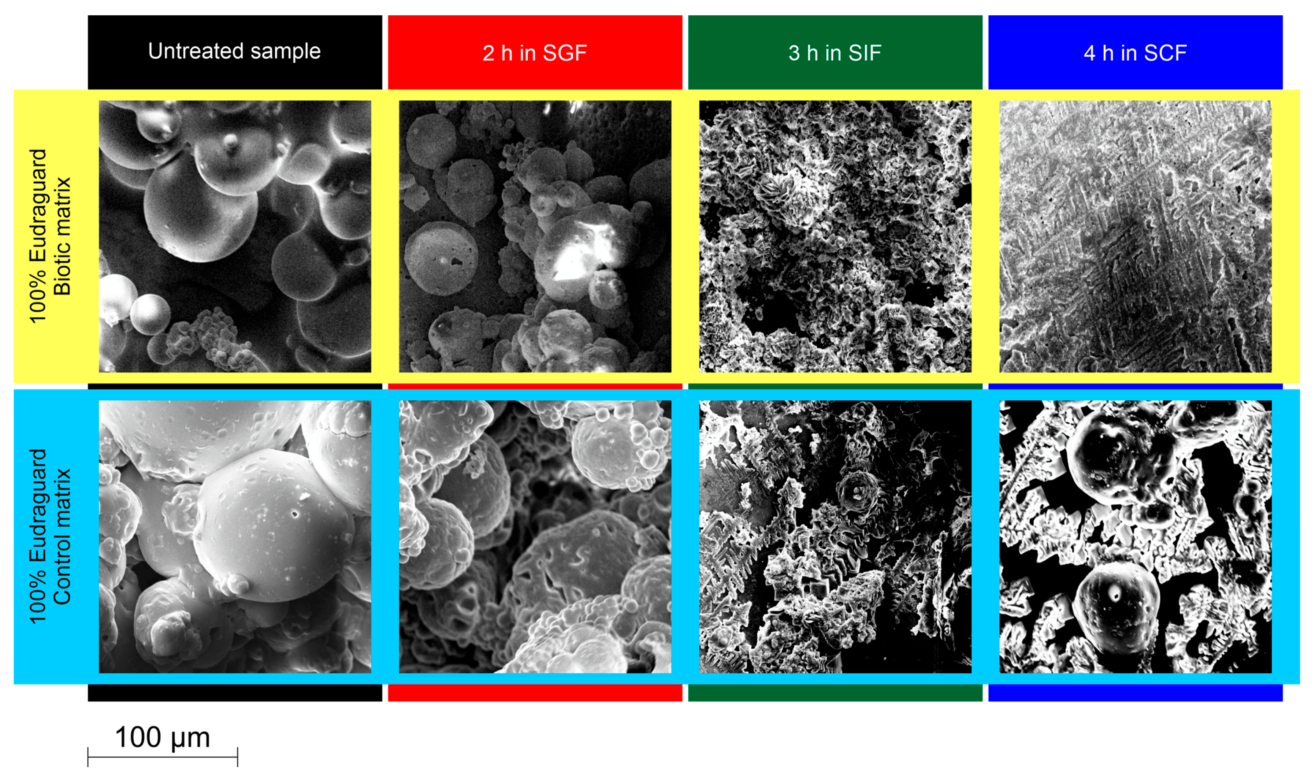 Applsci 13 05443 g011 Applsci 13 05443 g011