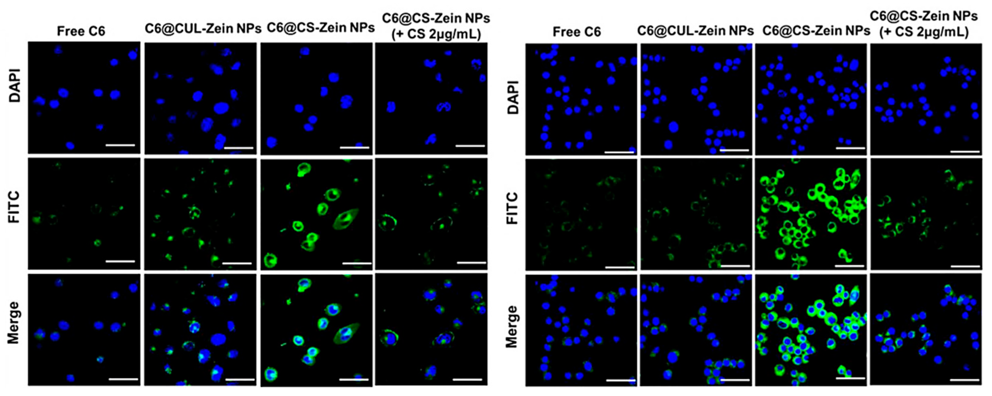 Applsci 13 05443 g017 Applsci 13 05443 g017