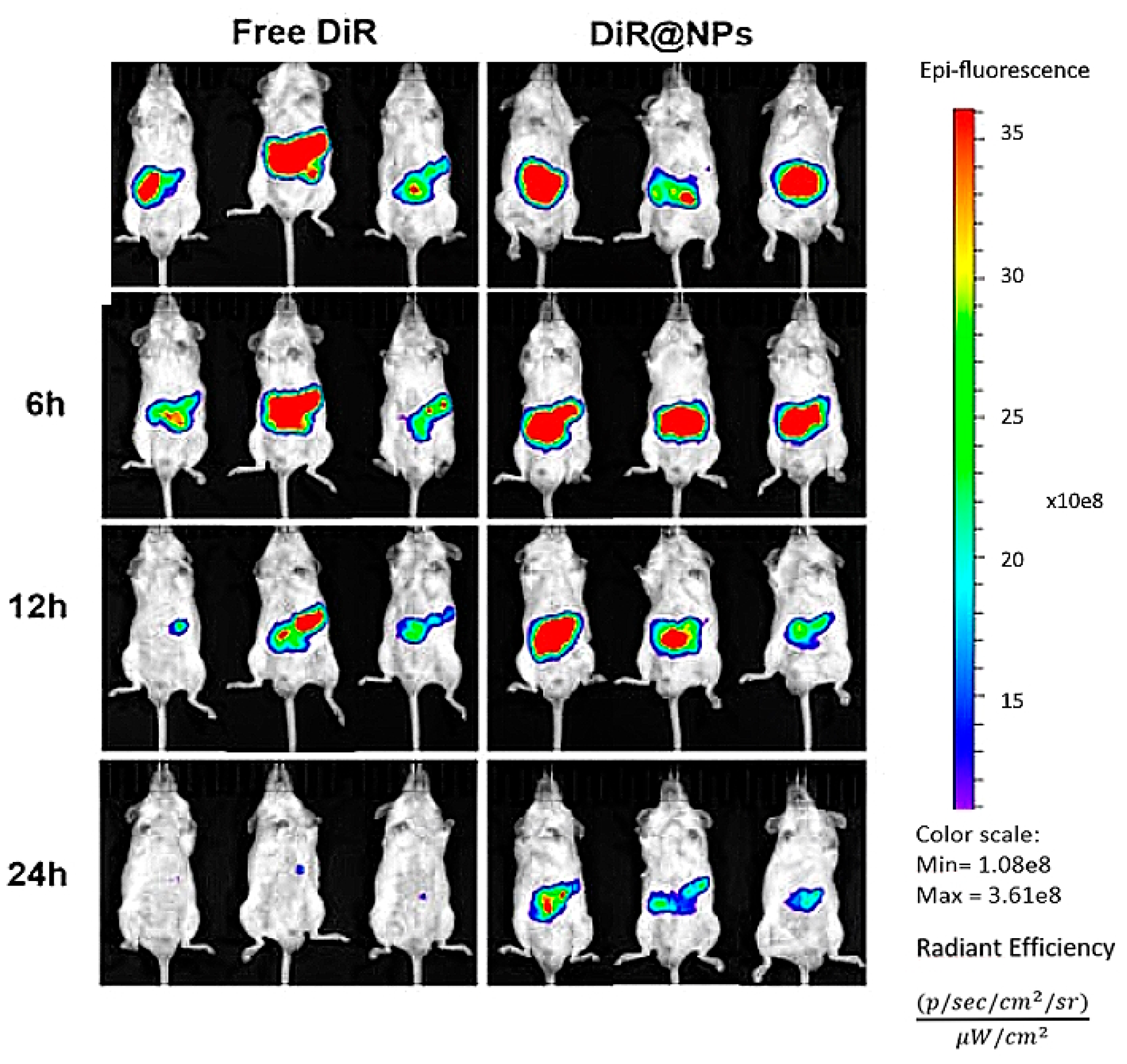 Applsci 13 05443 g018 Applsci 13 05443 g018