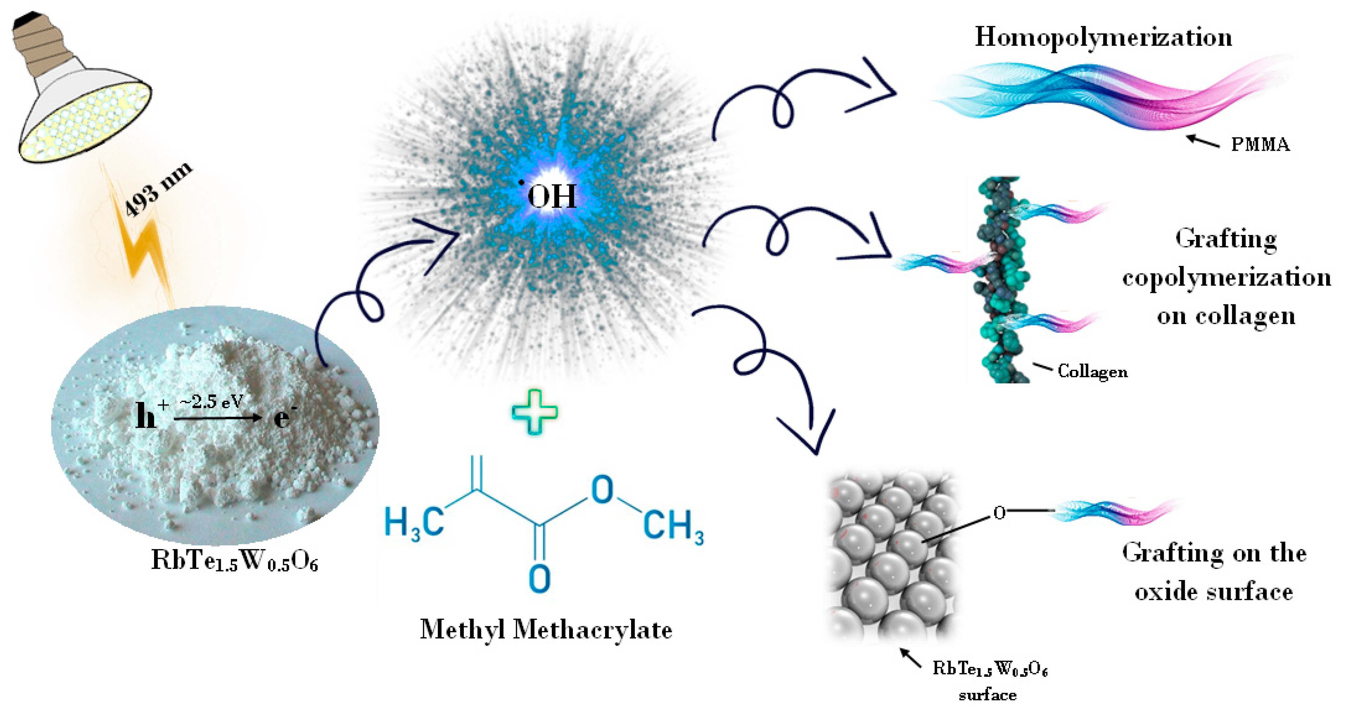Applsci 13 05455 g001 Applsci 13 05455 g001