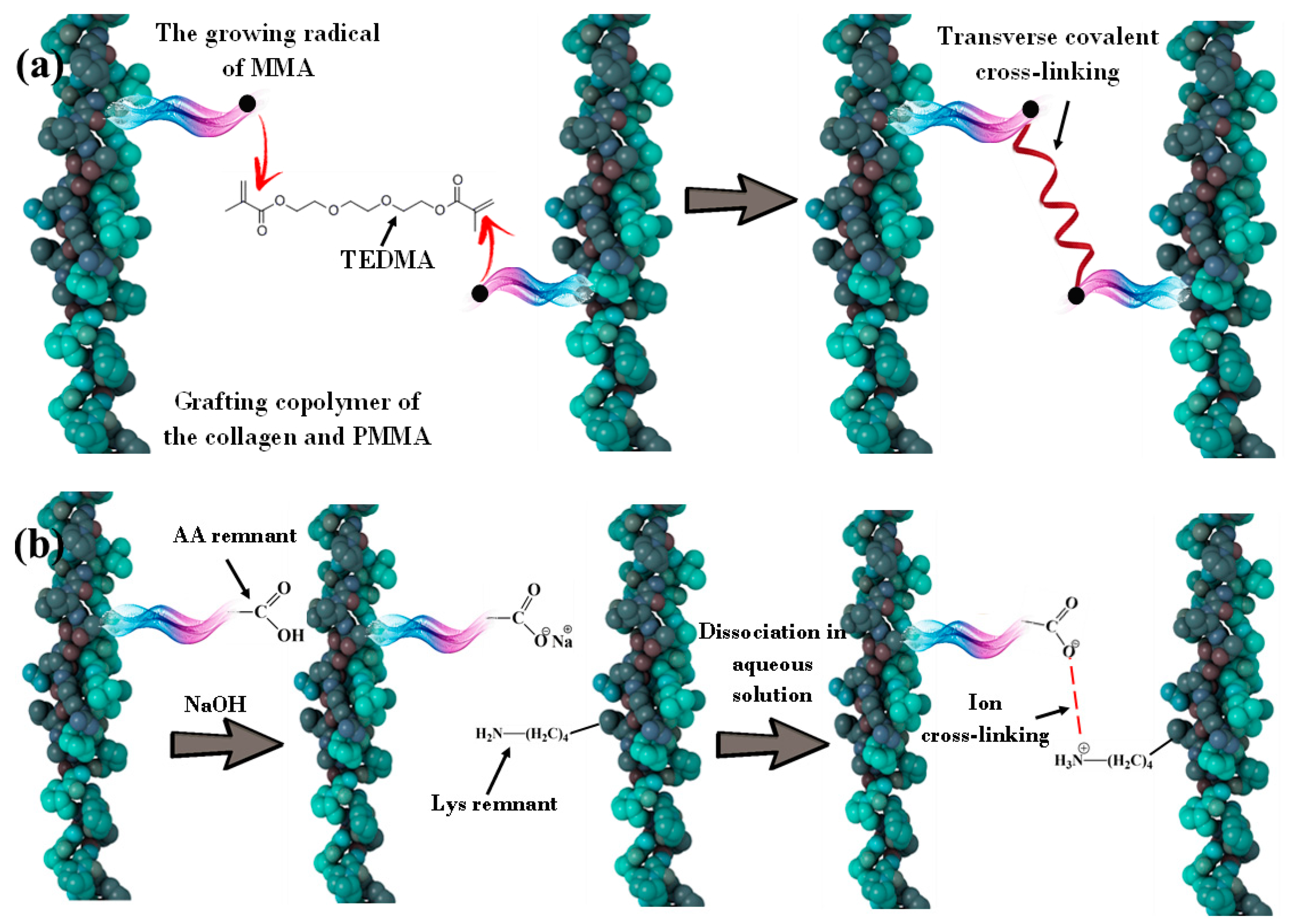 Applsci 13 05455 g002 Applsci 13 05455 g002