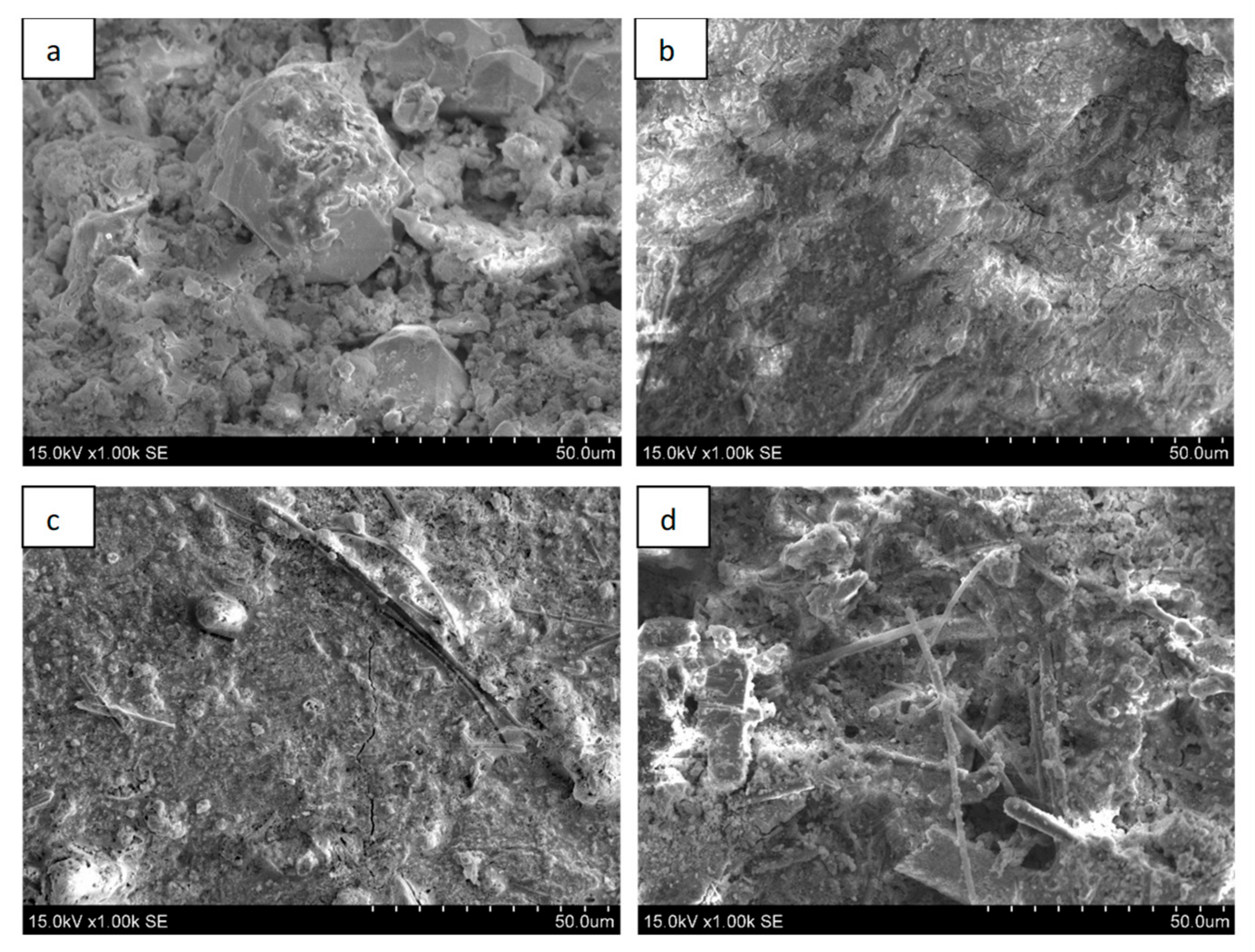 Applsci 13 05463 g001