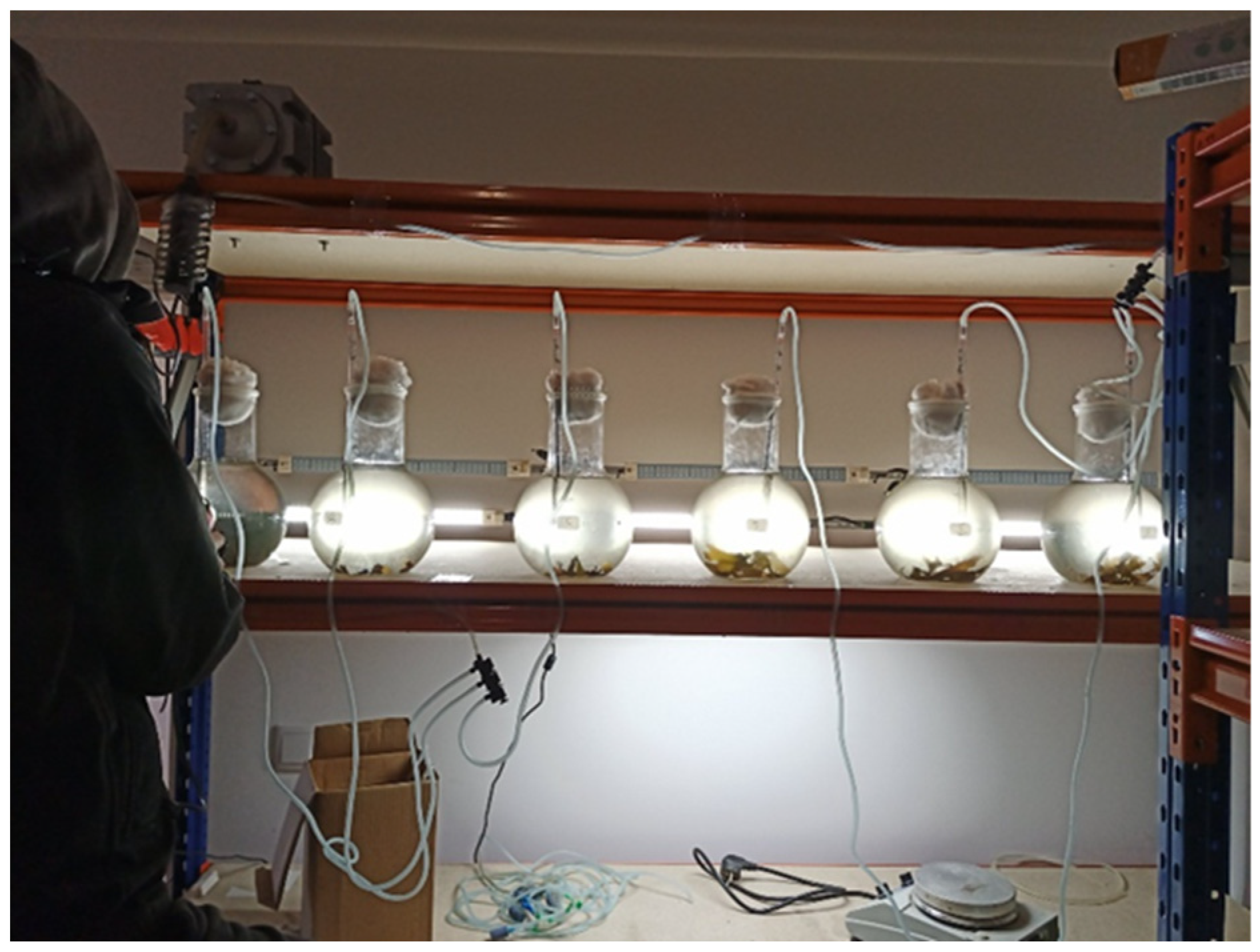 Applsci 13 05466 g002 Applsci 13 05466 g002