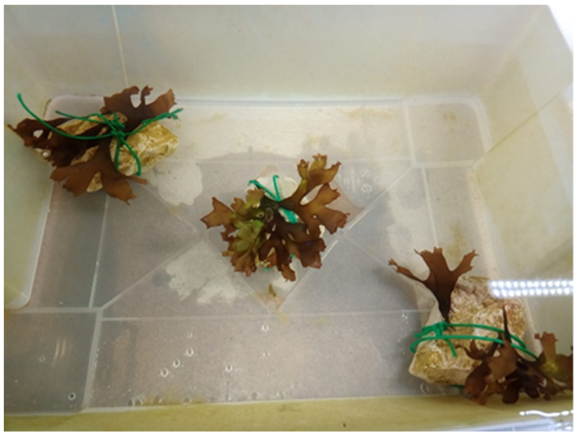 Applsci 13 05466 g003 Applsci 13 05466 g003