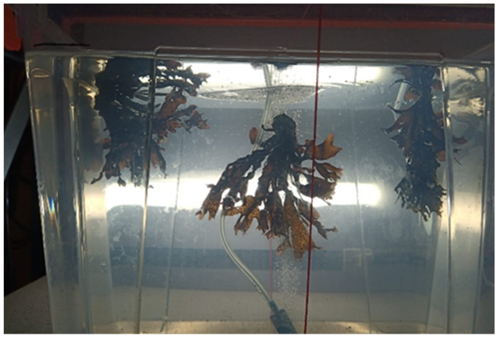 Applsci 13 05466 g004 Applsci 13 05466 g004