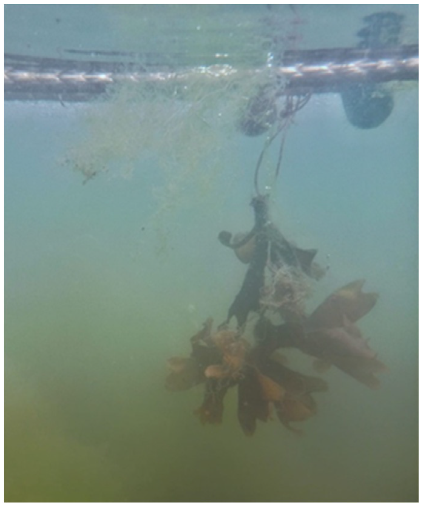 Applsci 13 05466 g006 Applsci 13 05466 g006