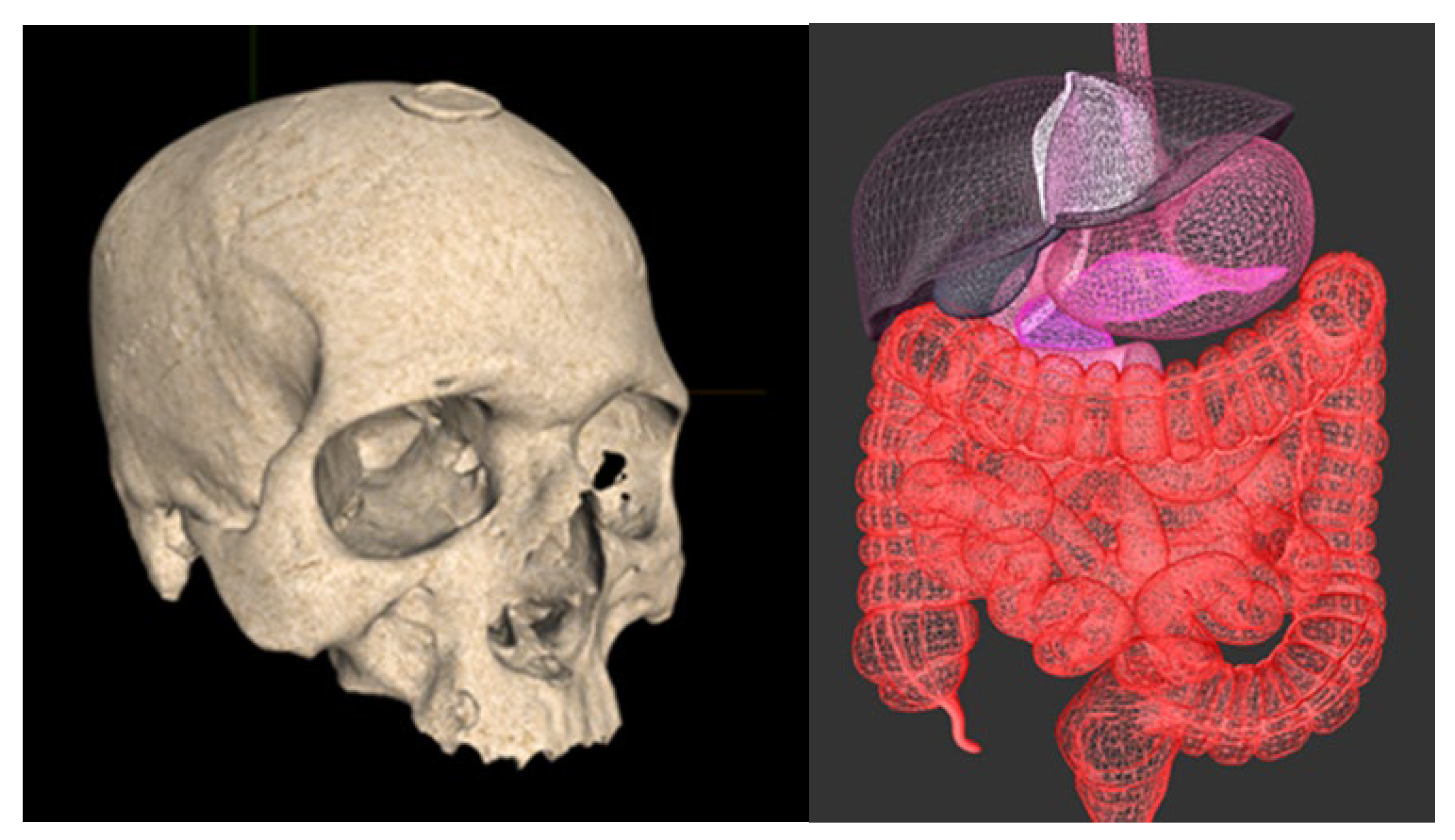 Applsci 13 05468 g013 550