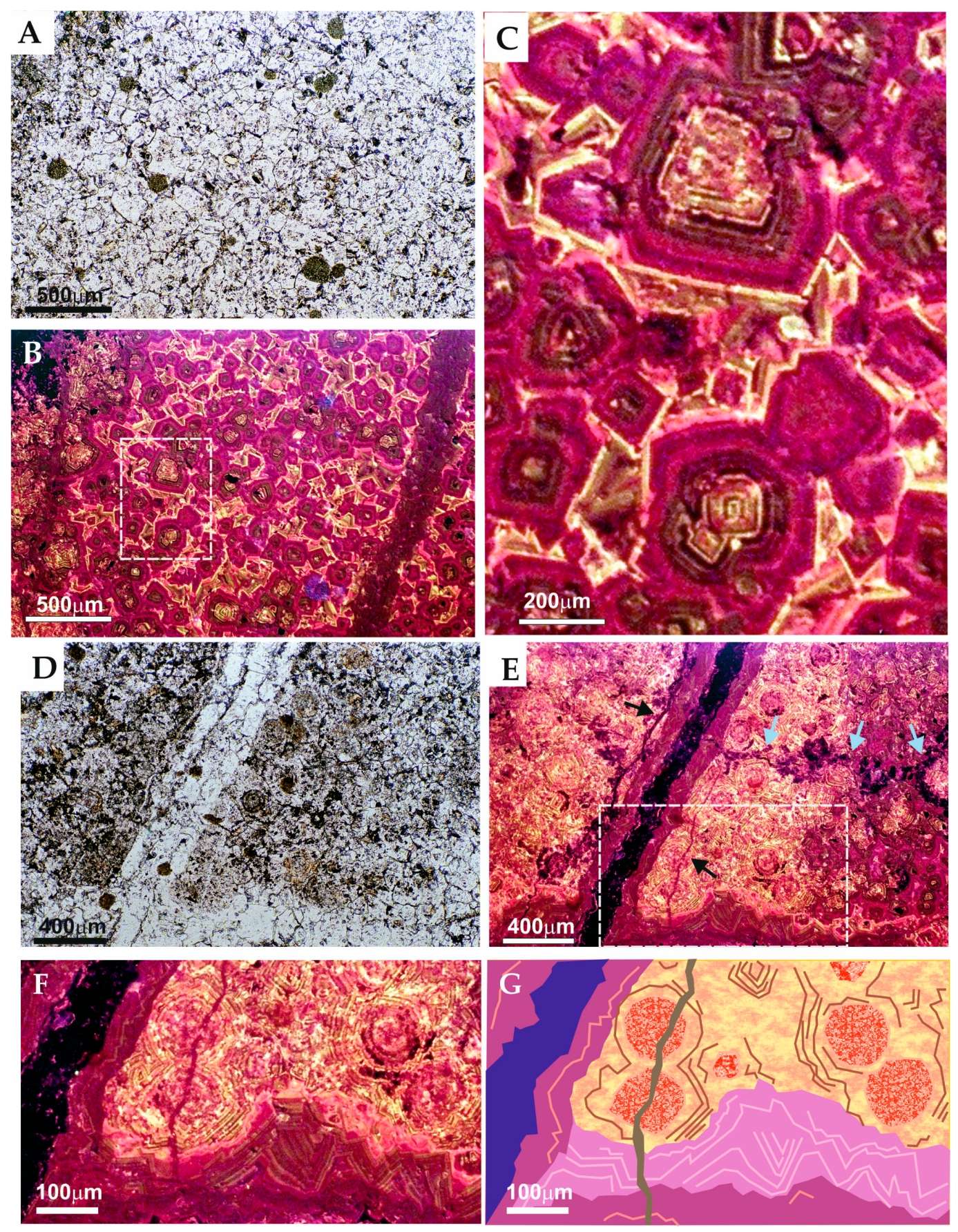 Applsci 13 05470 g002 Applsci 13 05470 g002