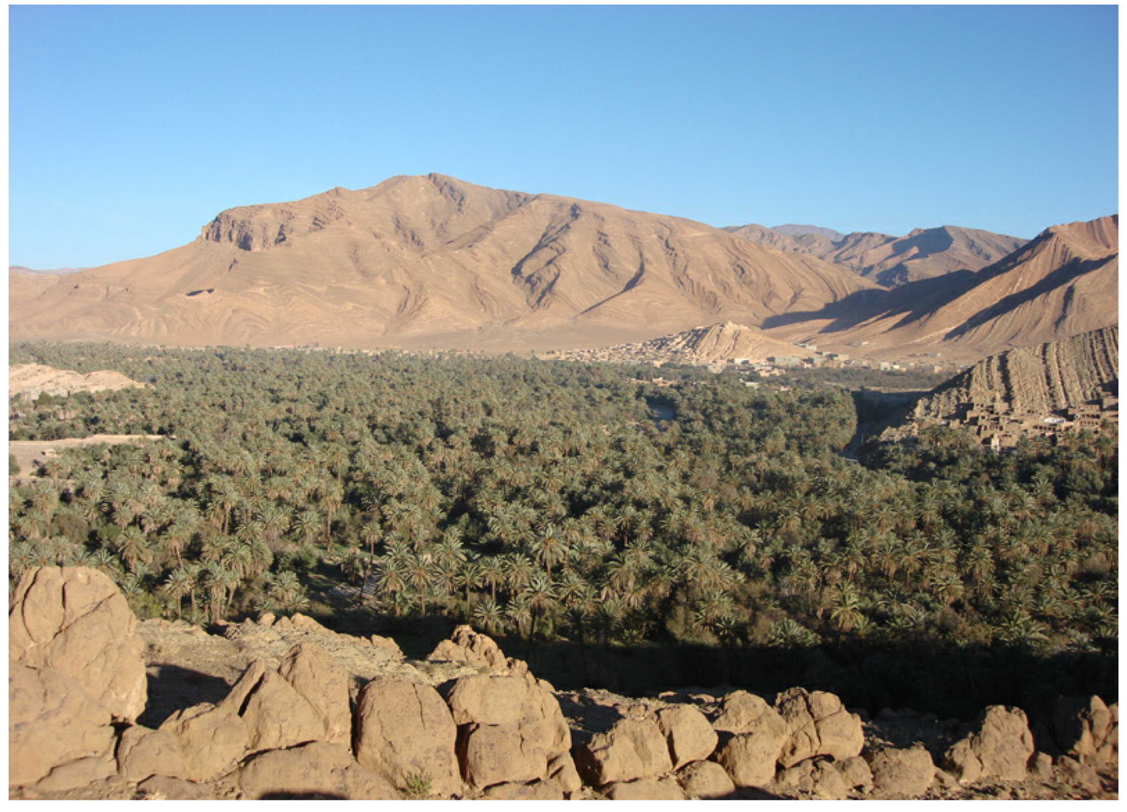 Applsci 13 05473 g002 Applsci 13 05473 g002