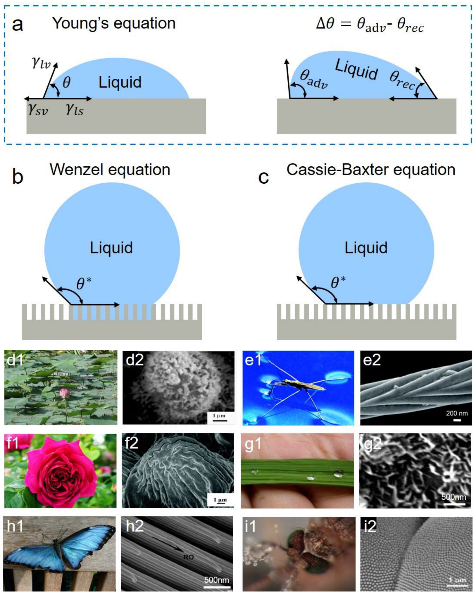 Applsci 13 05478 g004 Applsci 13 05478 g004