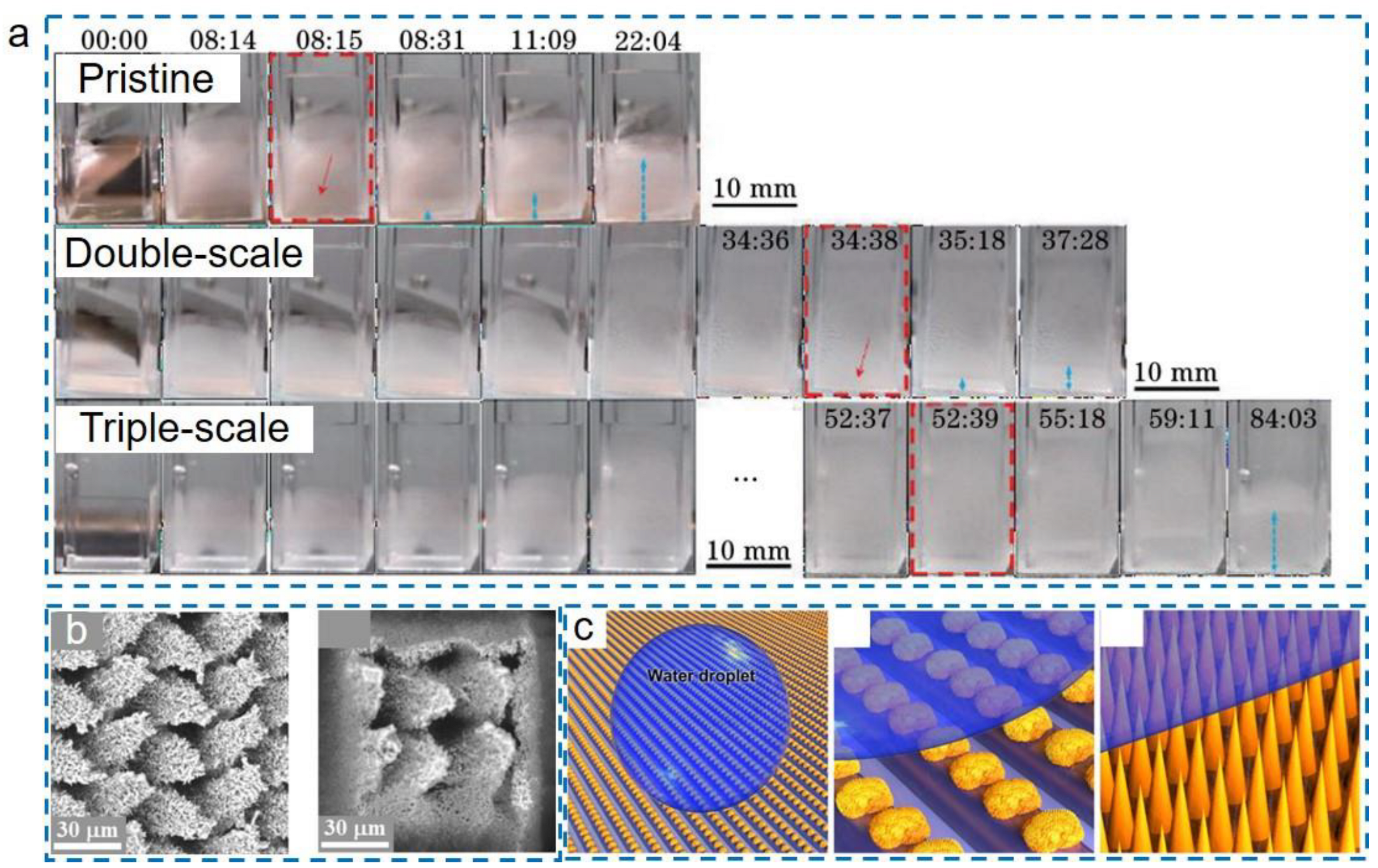 Applsci 13 05478 g011 Applsci 13 05478 g011