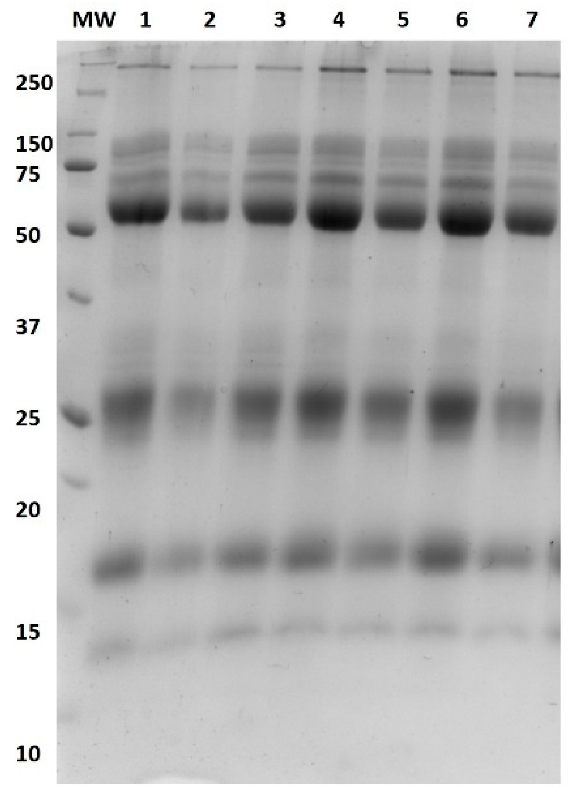 Applsci 13 05490 g001 Applsci 13 05490 g001