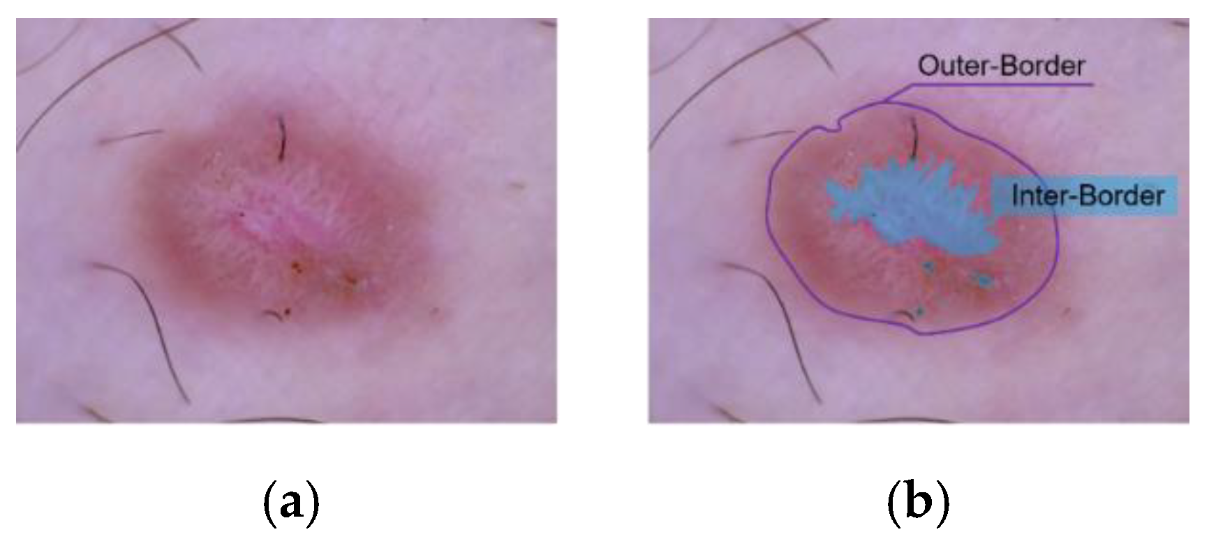 Applsci 13 05497 g002