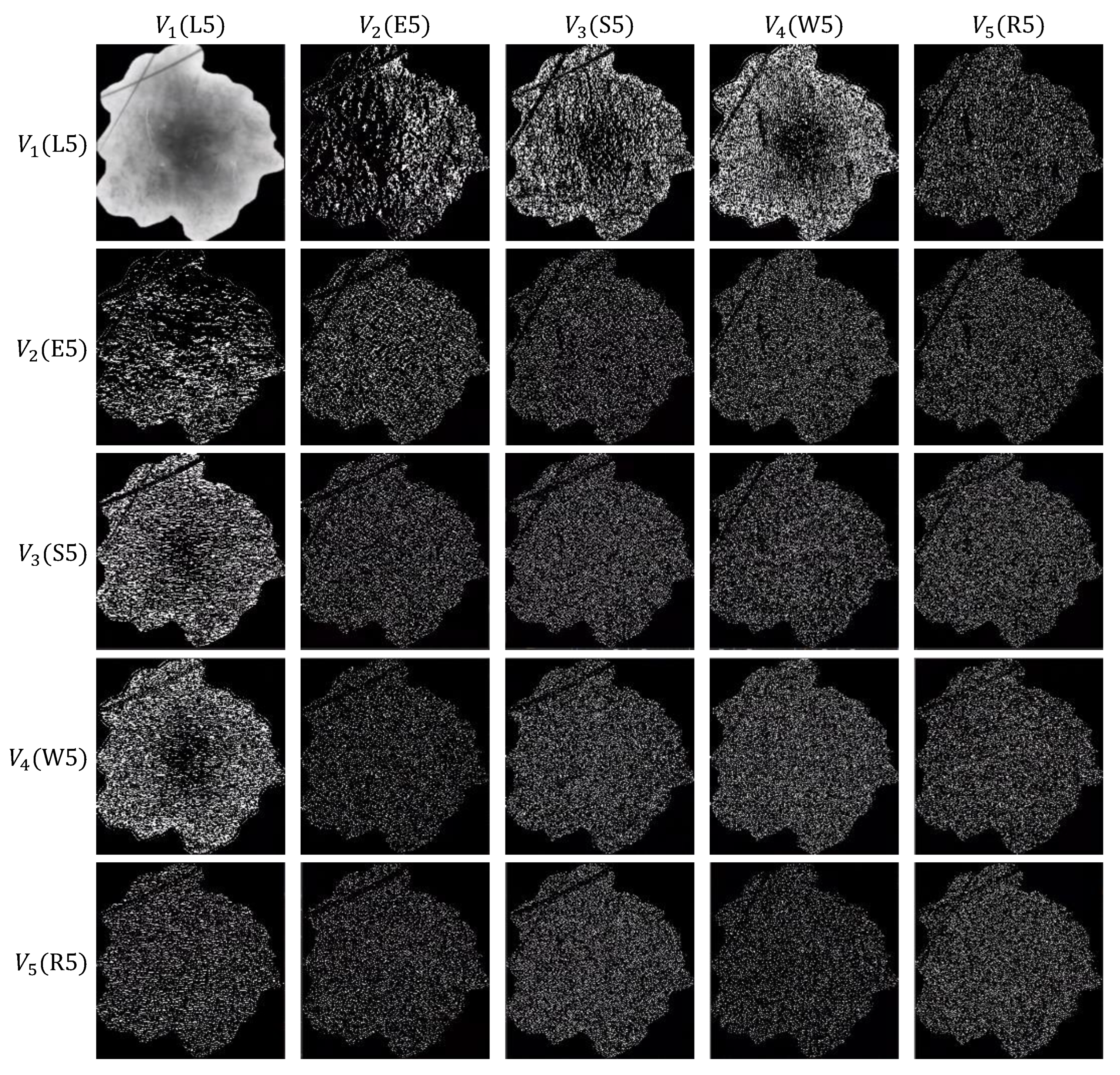 Applsci 13 05497 g008