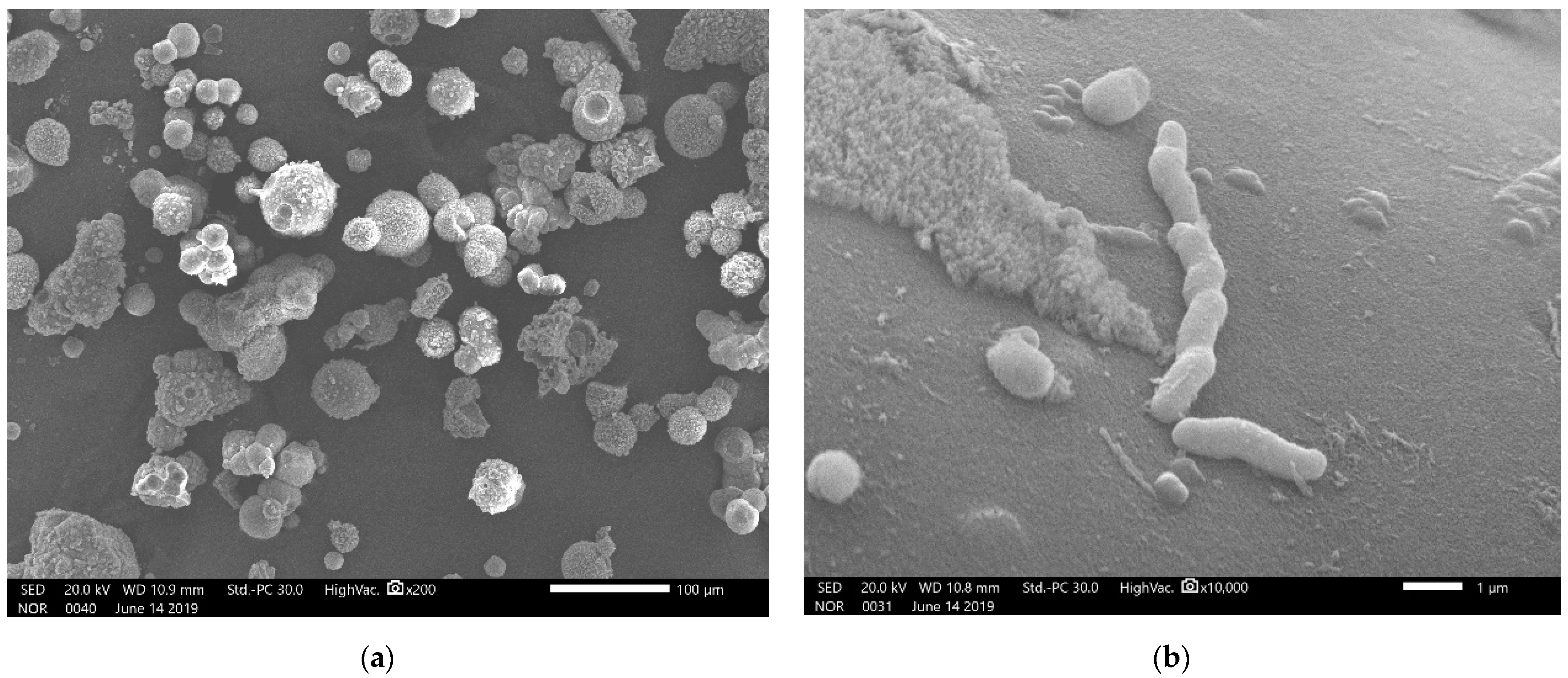 Applsci 13 05528 g005