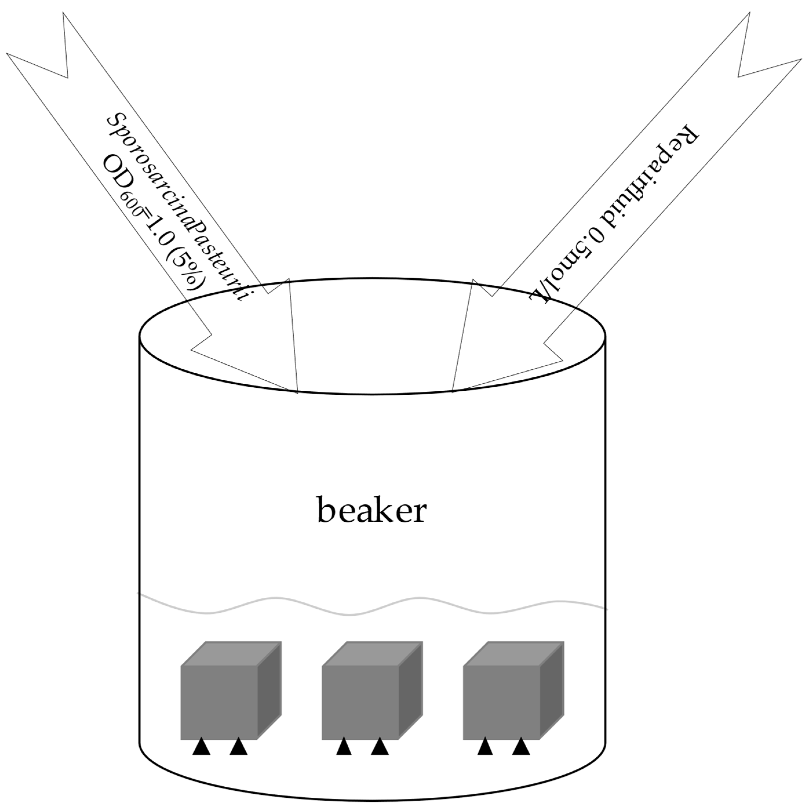 Applsci 13 05528 g013