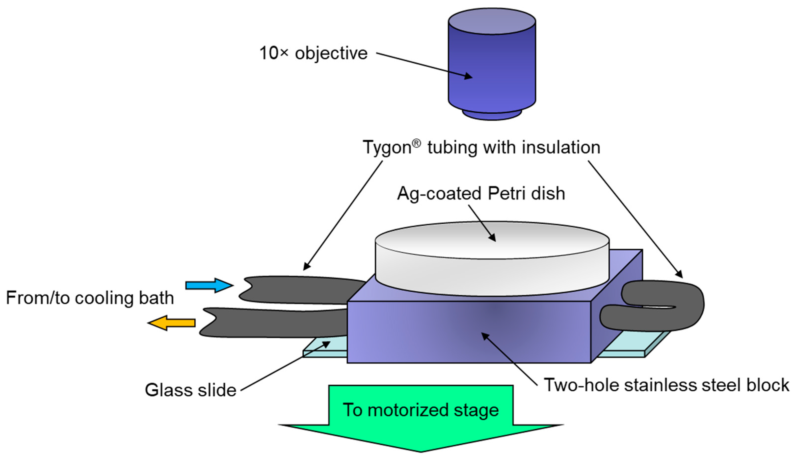 Applsci 13 05533 g002 Applsci 13 05533 g002