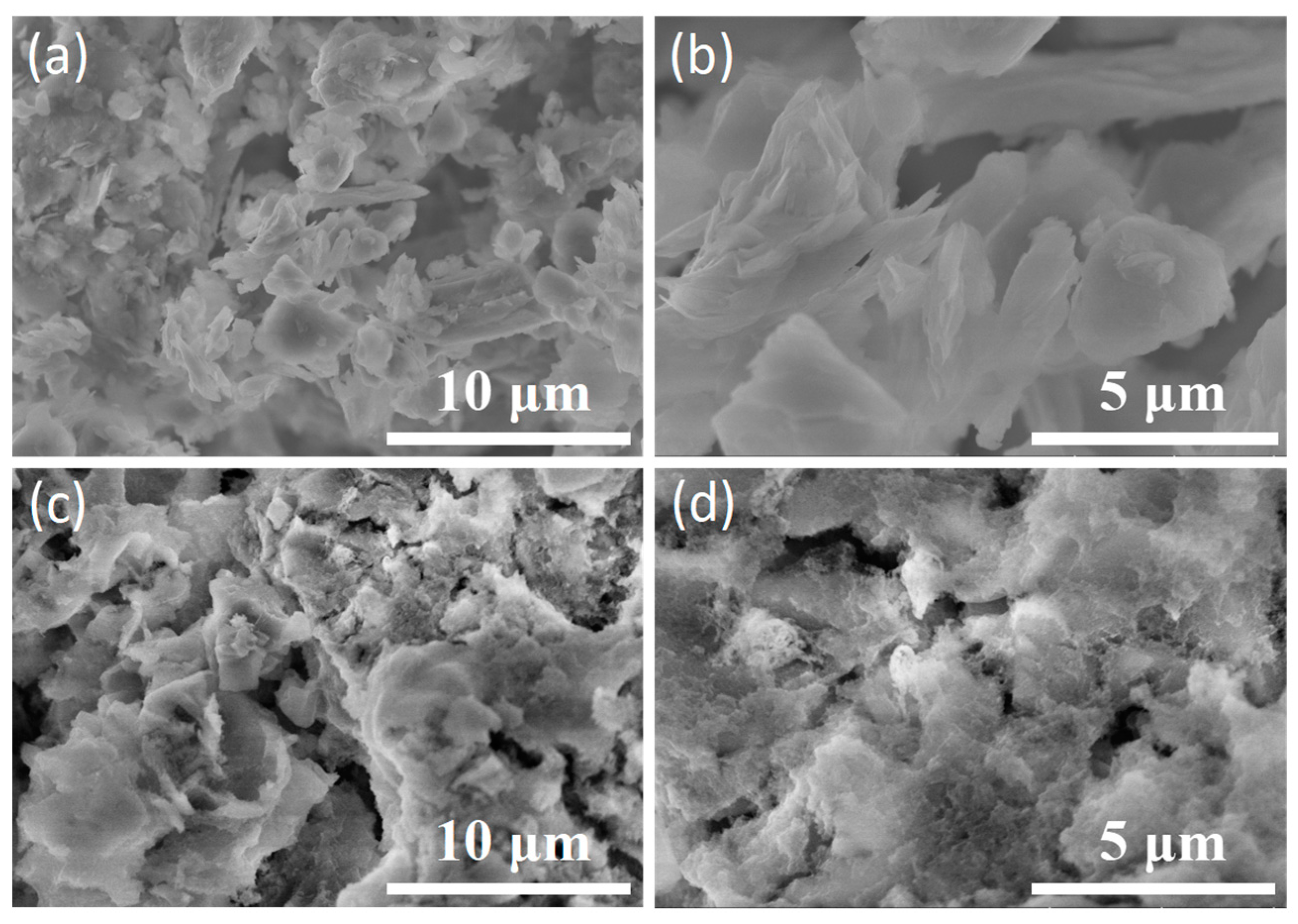 Applsci 13 05551 g002 Applsci 13 05551 g002