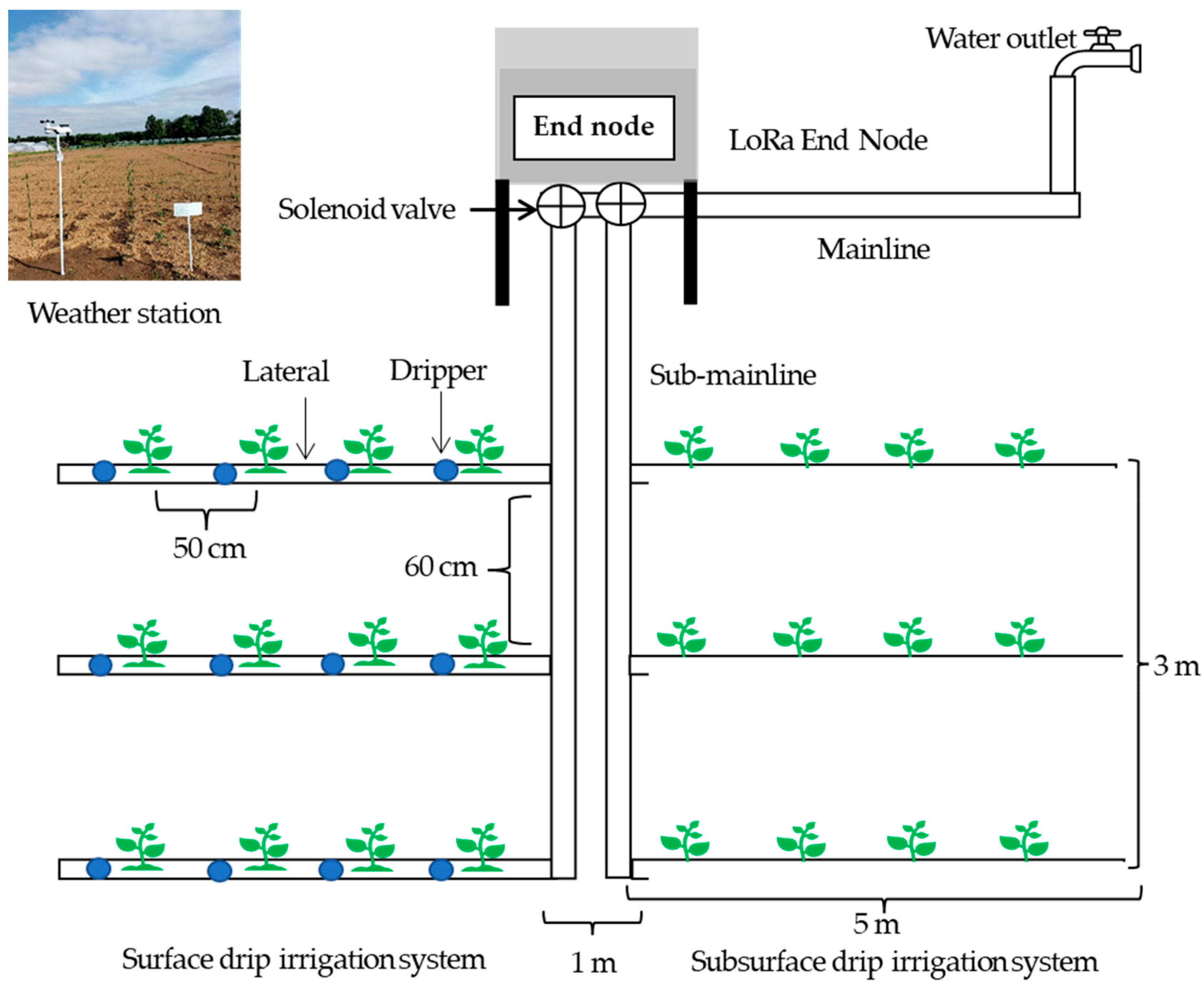 Applsci 13 05556 g008