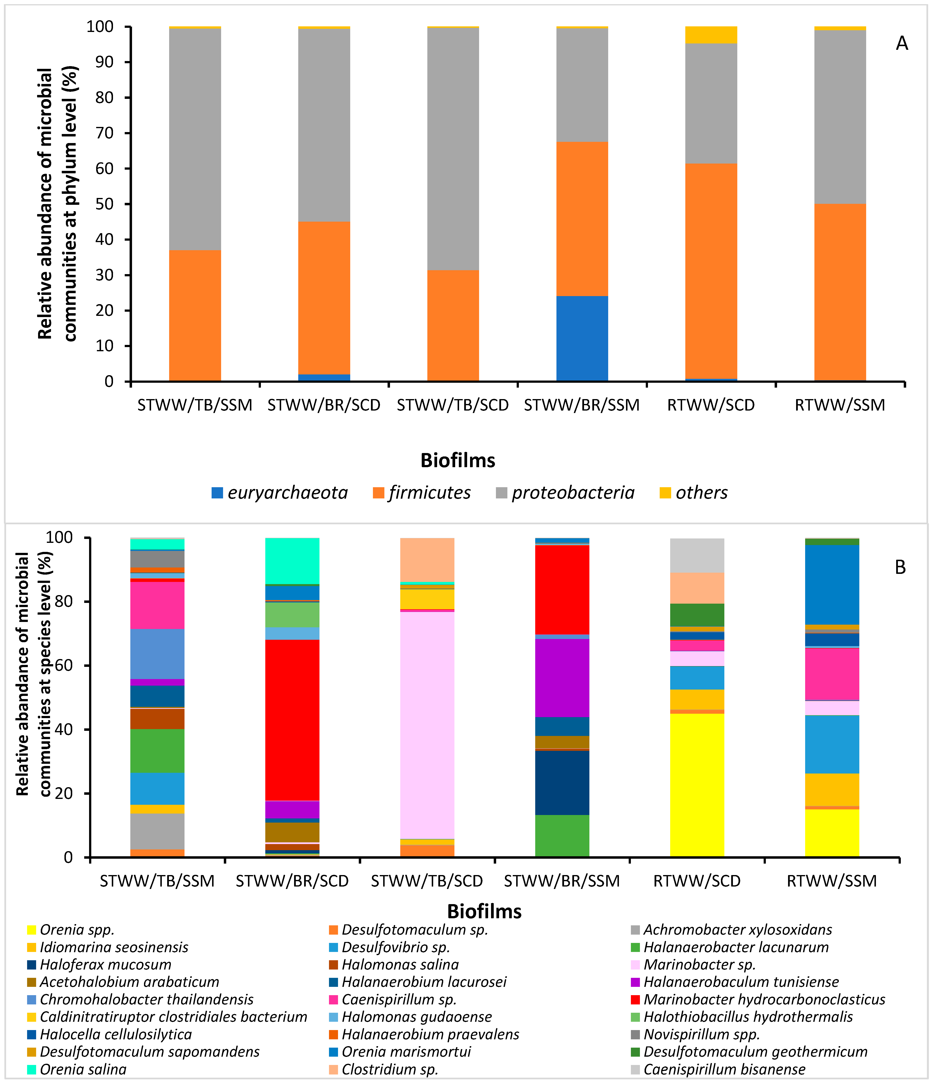 Applsci 13 05581 g008