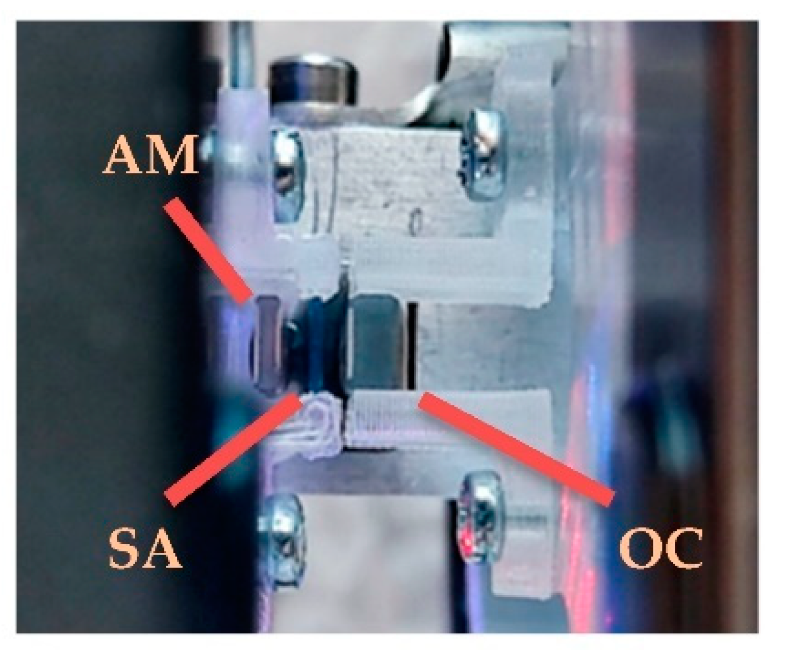 Applsci 13 05631 g004