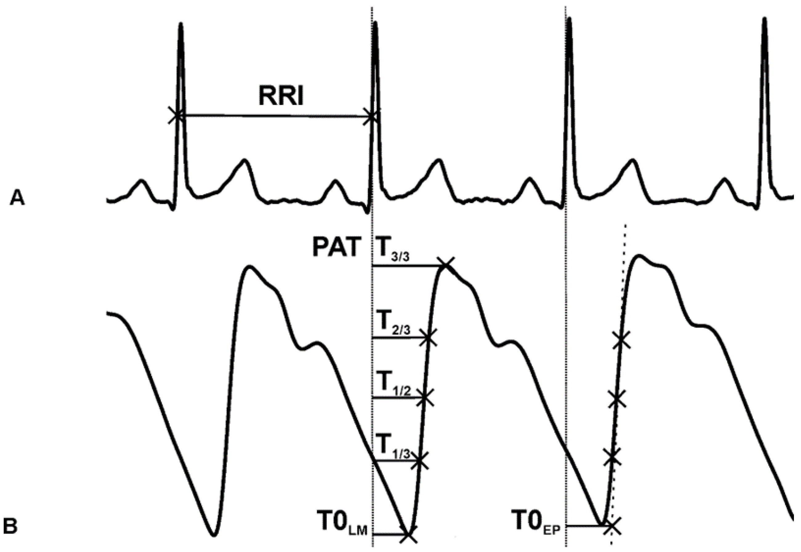 Applsci 13 05642 g003 Applsci 13 05642 g003