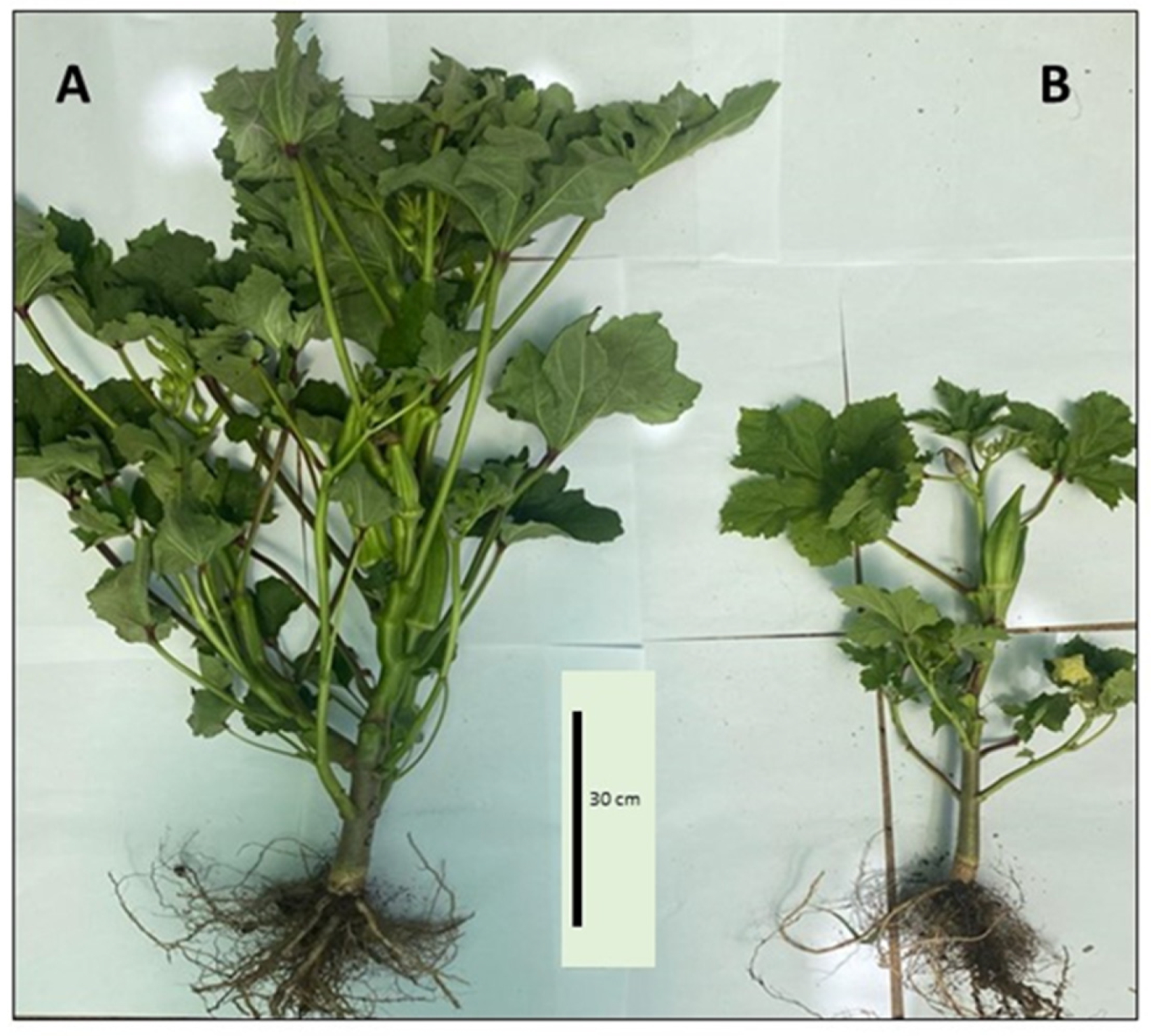 Applsci 13 05645 g001 Applsci 13 05645 g001