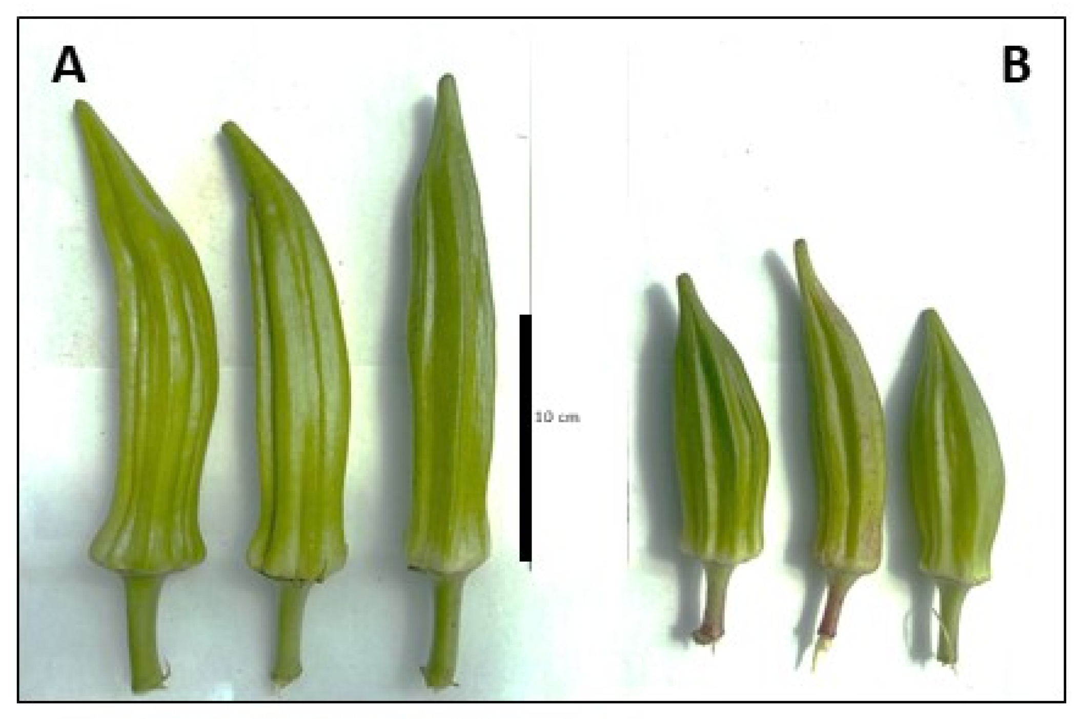 Applsci 13 05645 g004 Applsci 13 05645 g004