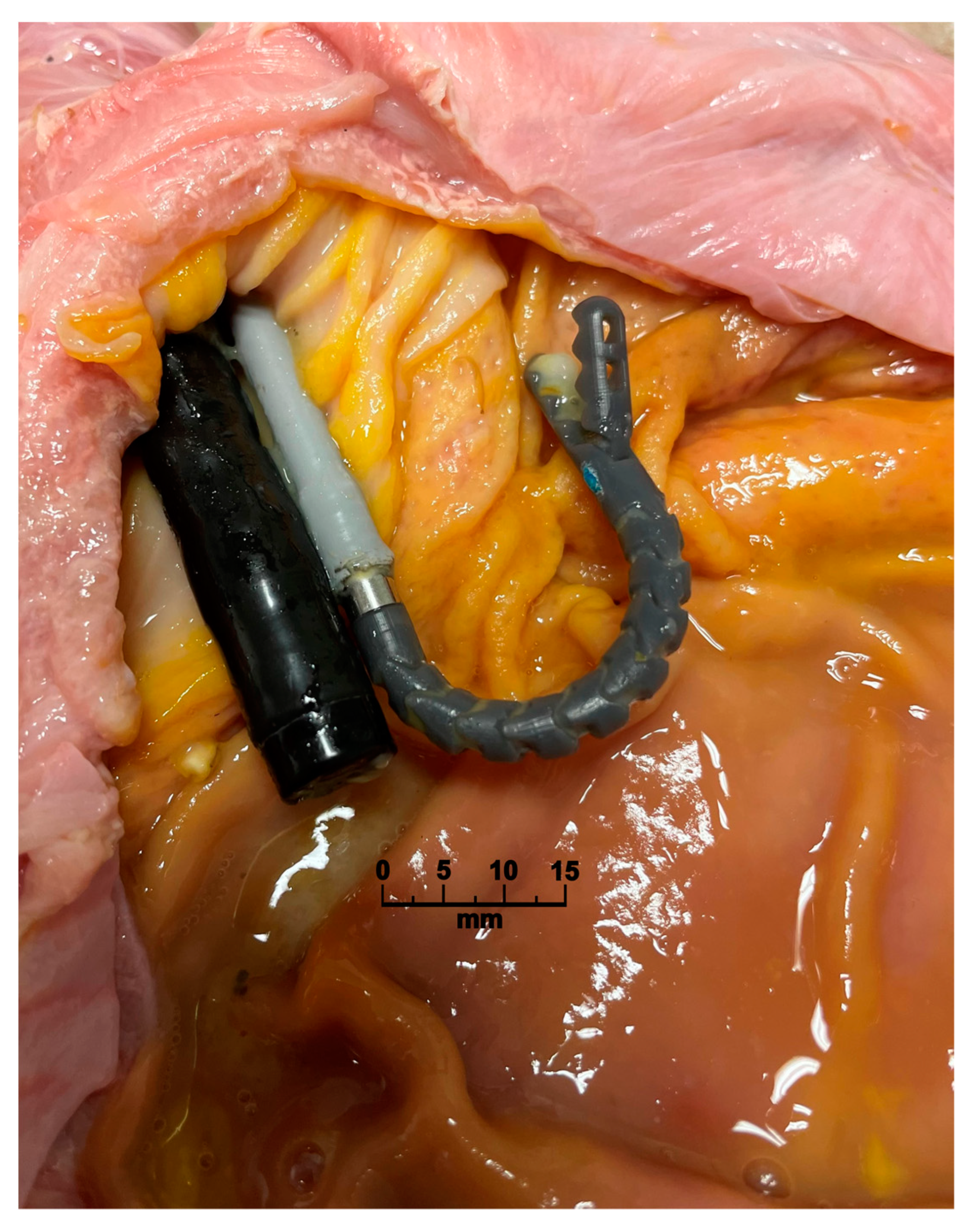 Applsci 13 05656 g004 Applsci 13 05656 g004