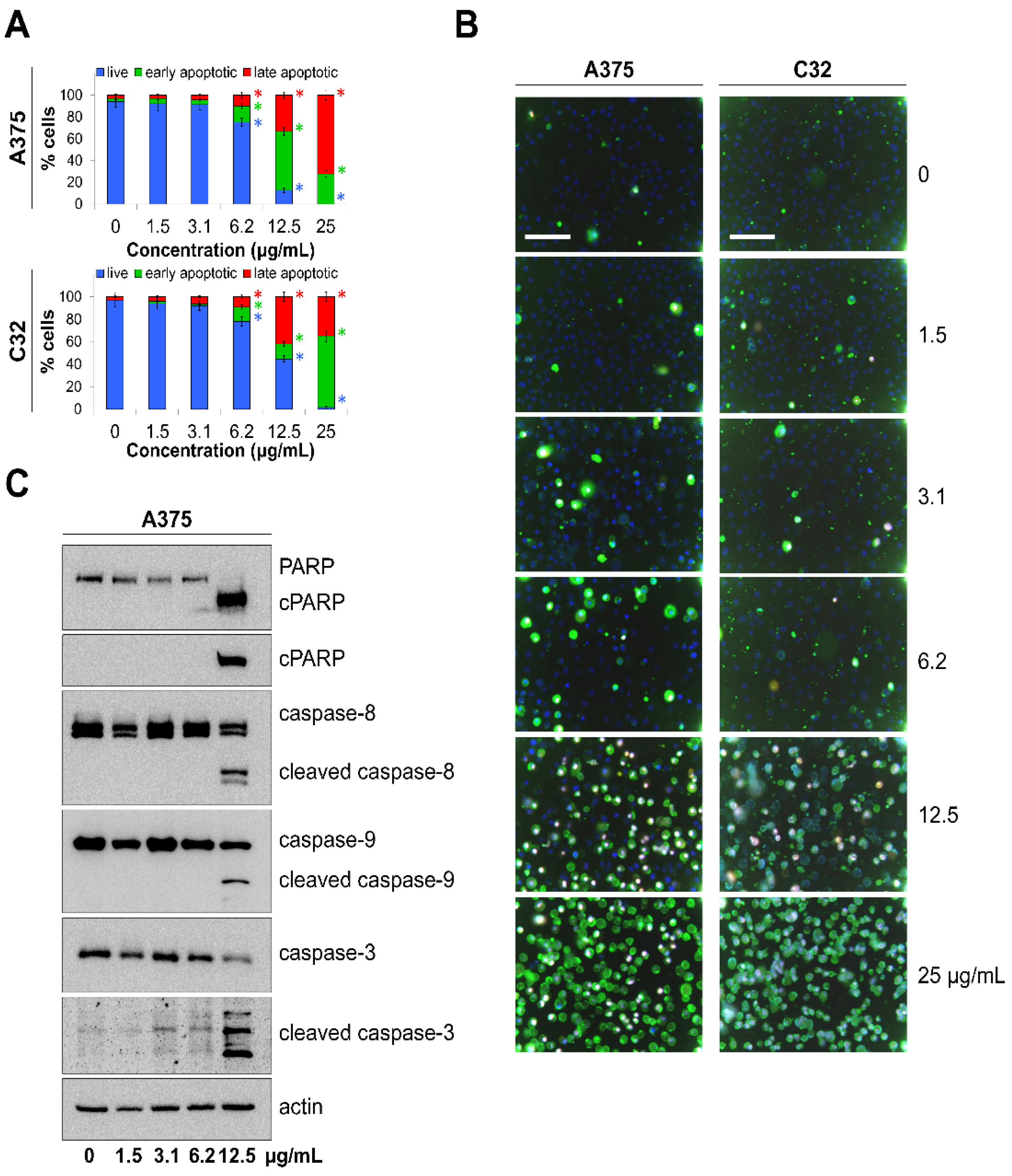Applsci 13 05674 g001