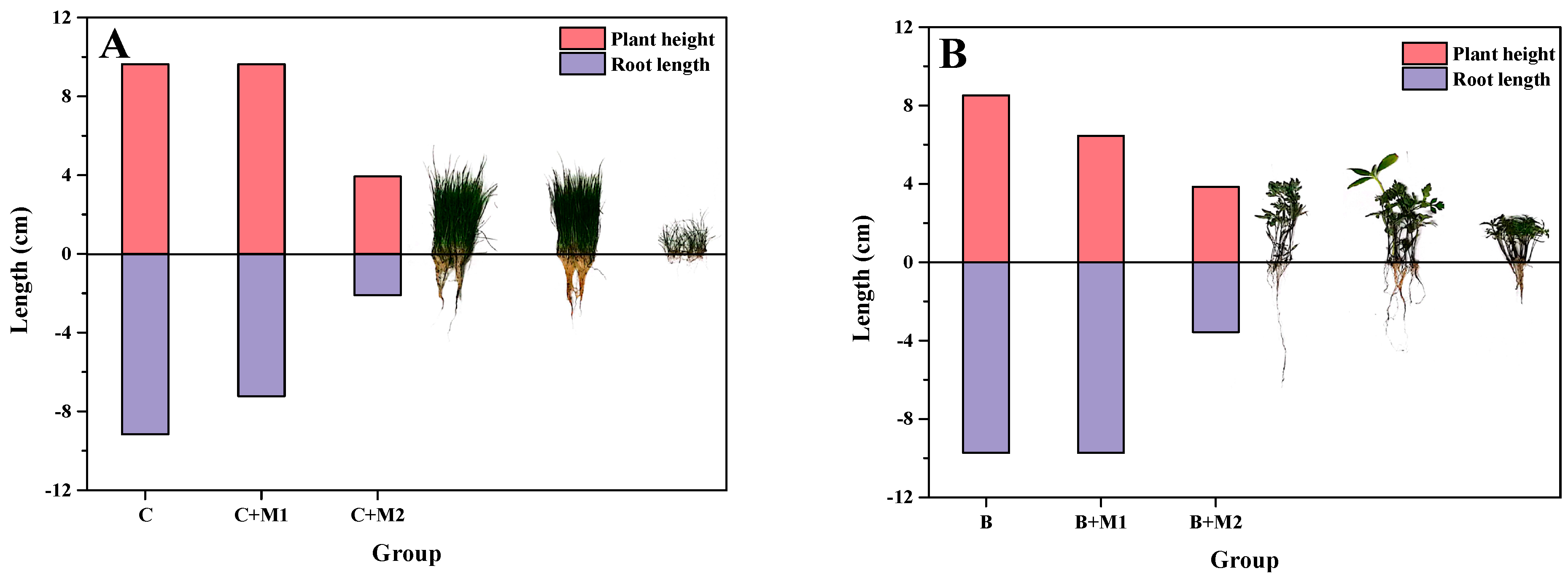 Applsci 13 05695 g004 Applsci 13 05695 g004