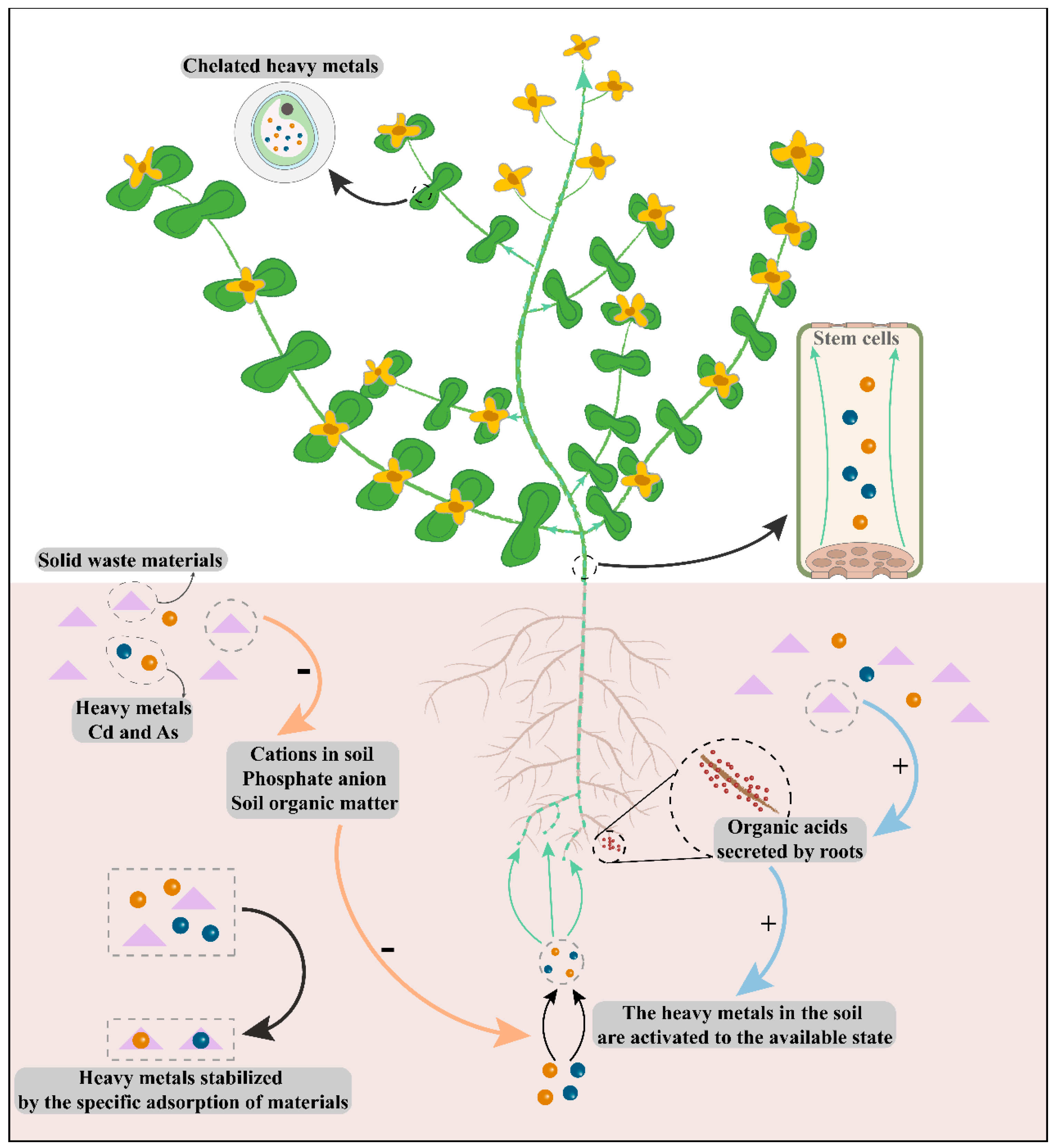 Applsci 13 05695 g006 Applsci 13 05695 g006