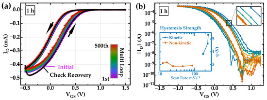 Hysteresis in Organic Electrochemical Transistors: Relation to the