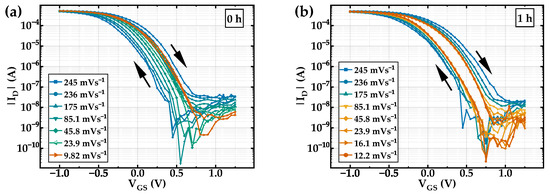 Hysteresis in Organic Electrochemical Transistors: Relation to the