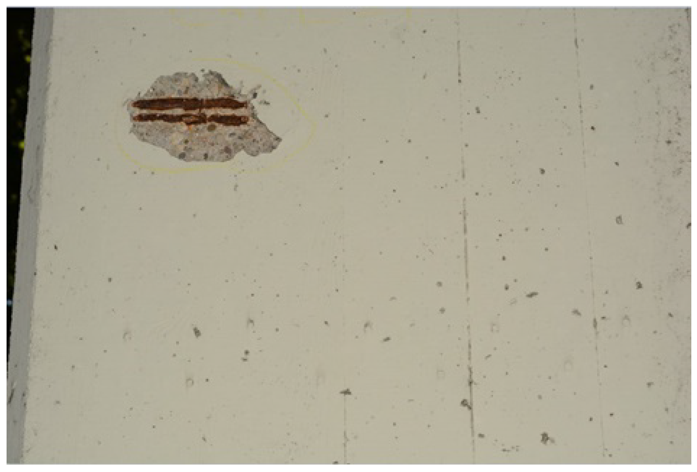 Applsci 13 05763 g007