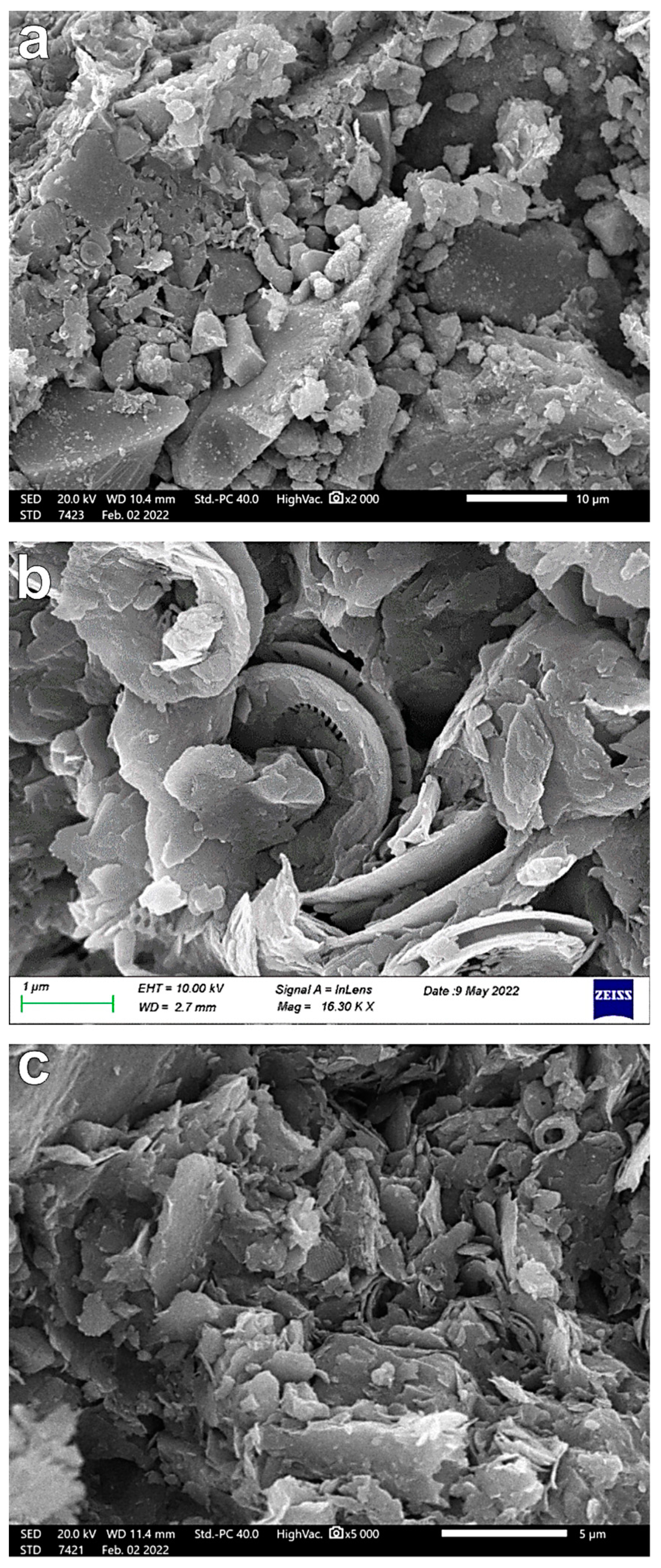 Applsci 13 05772 g008 Applsci 13 05772 g008