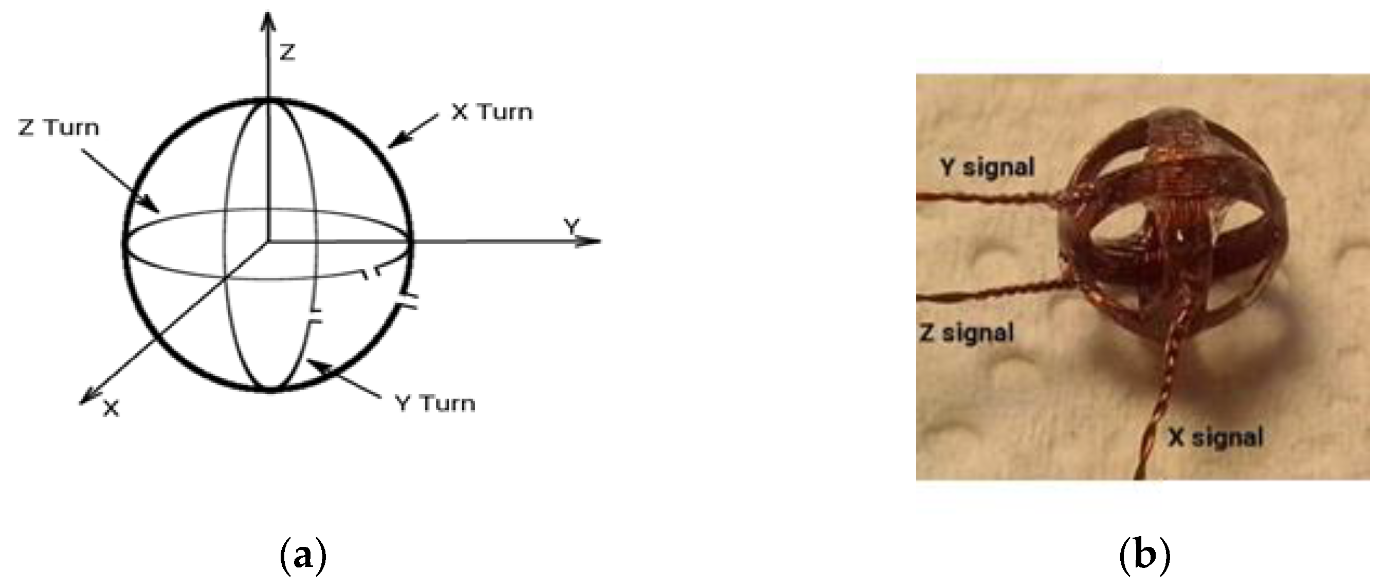 Applsci 13 05773 g001