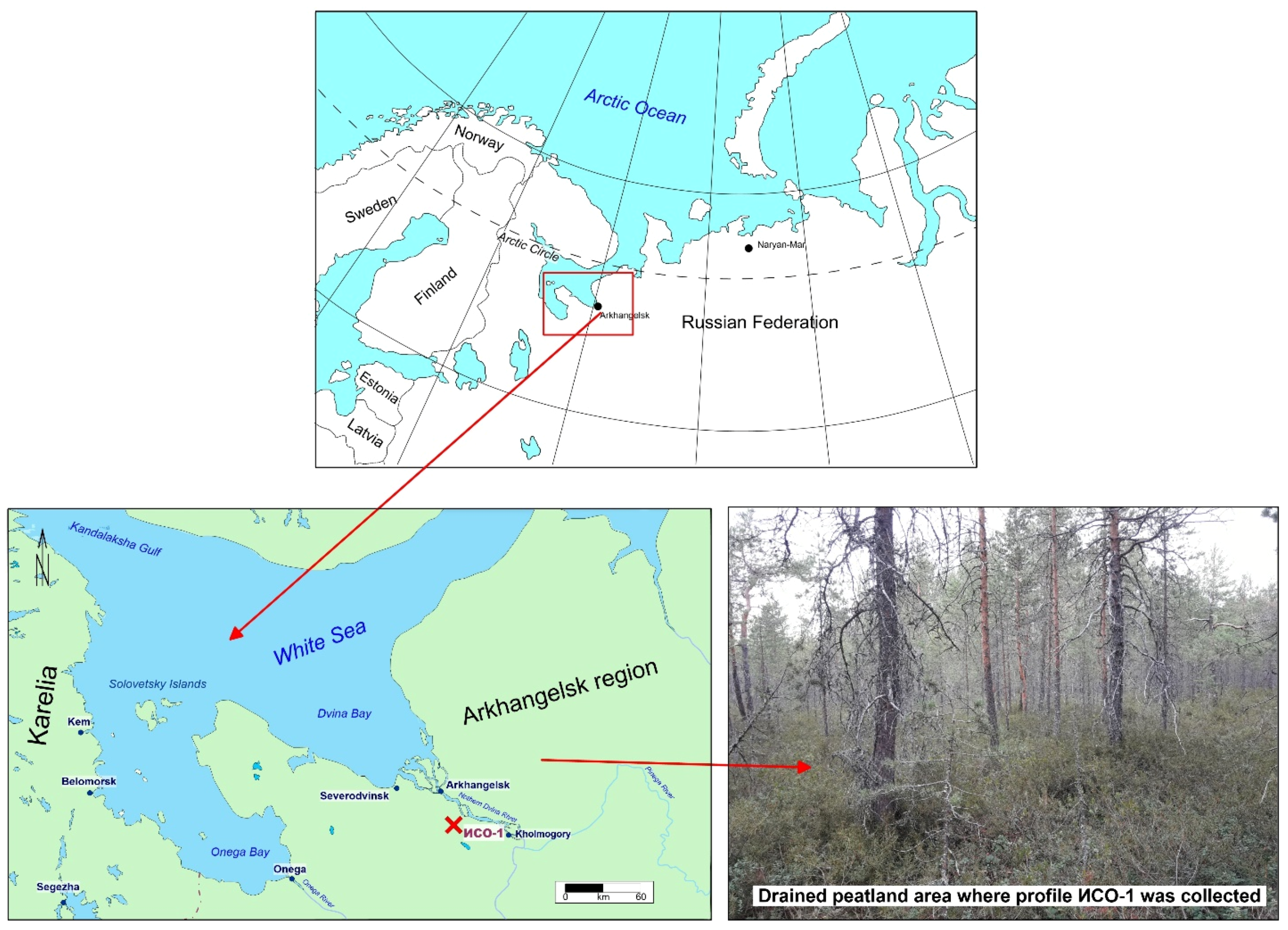 Applsci 13 05778 g001 Applsci 13 05778 g001