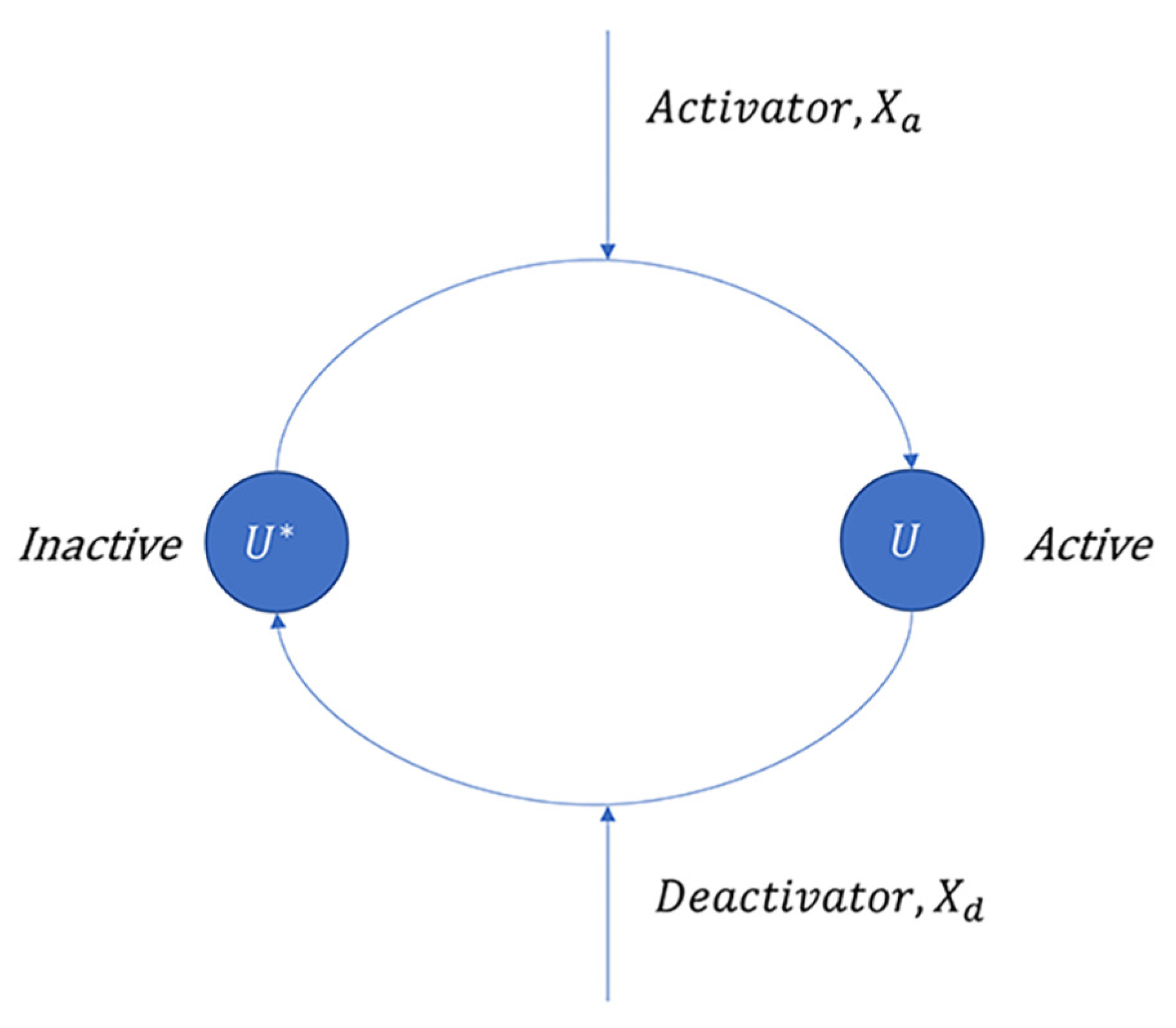 Applsci 13 05786 g002