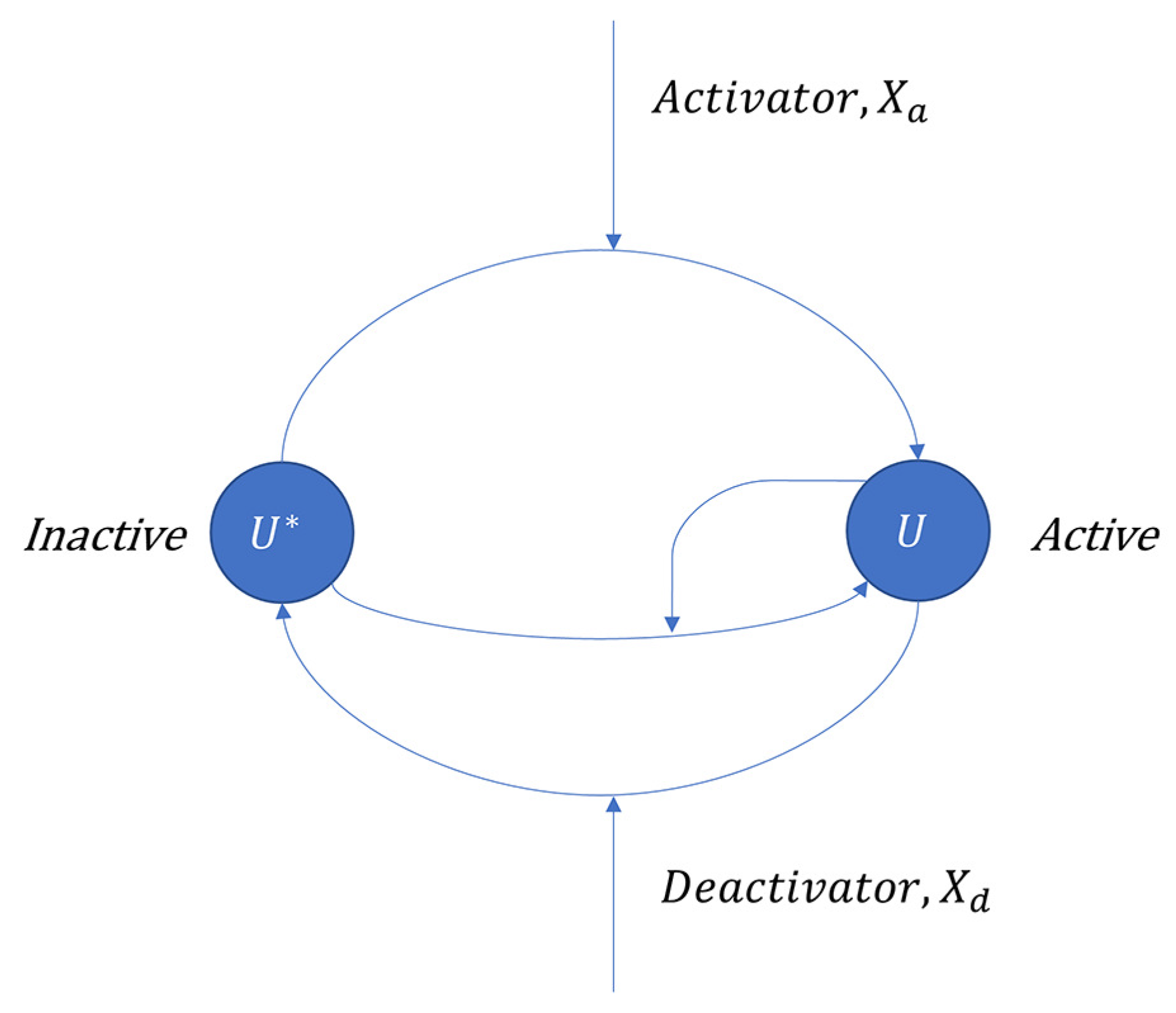 Applsci 13 05786 g005