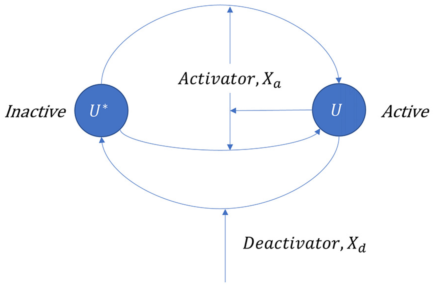 Applsci 13 05786 g008