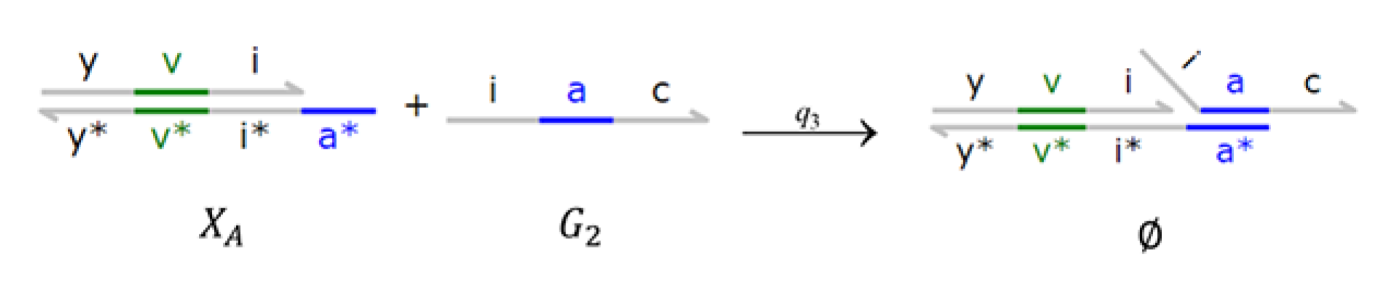 Applsci 13 05786 g013