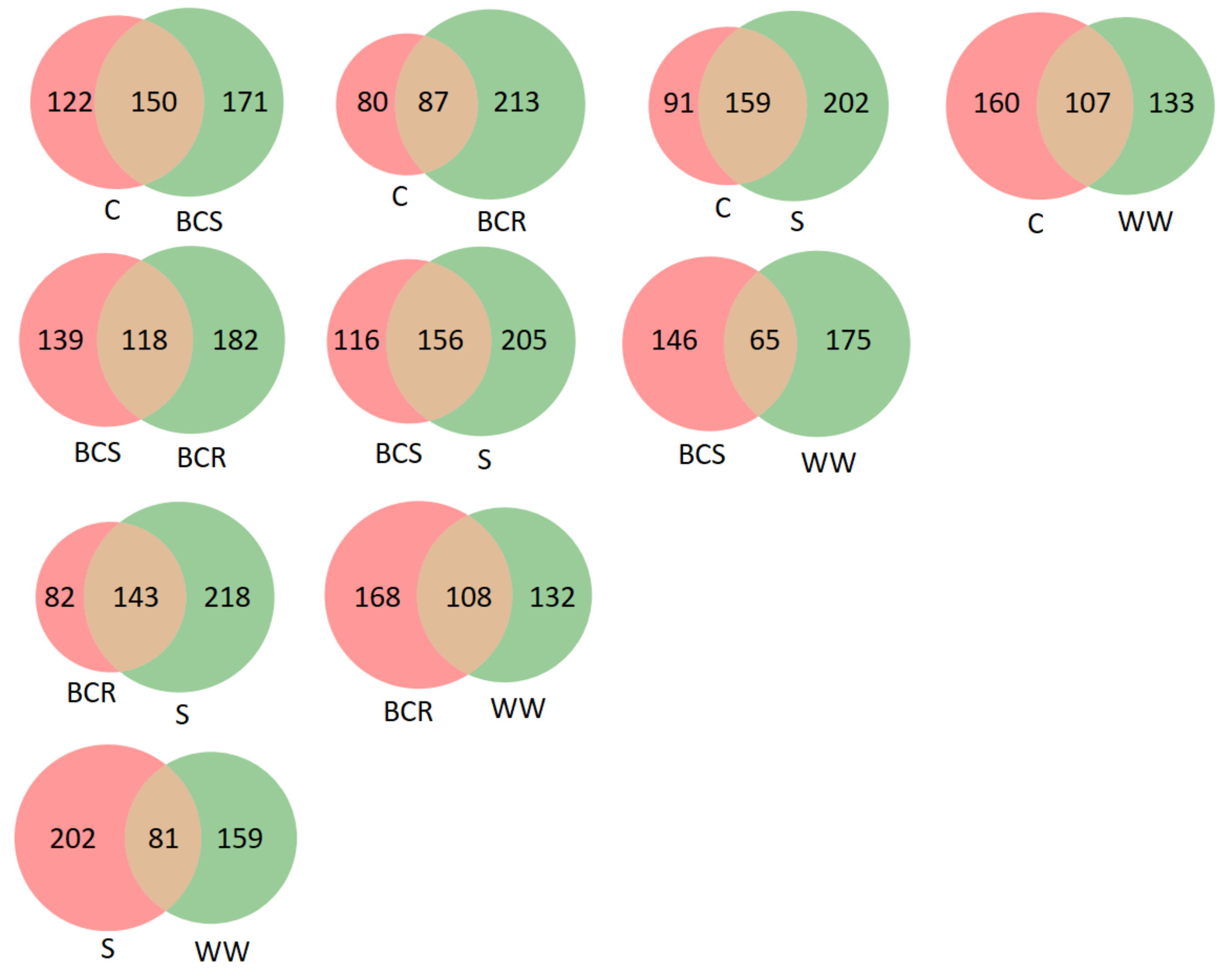 Applsci 13 05800 g006