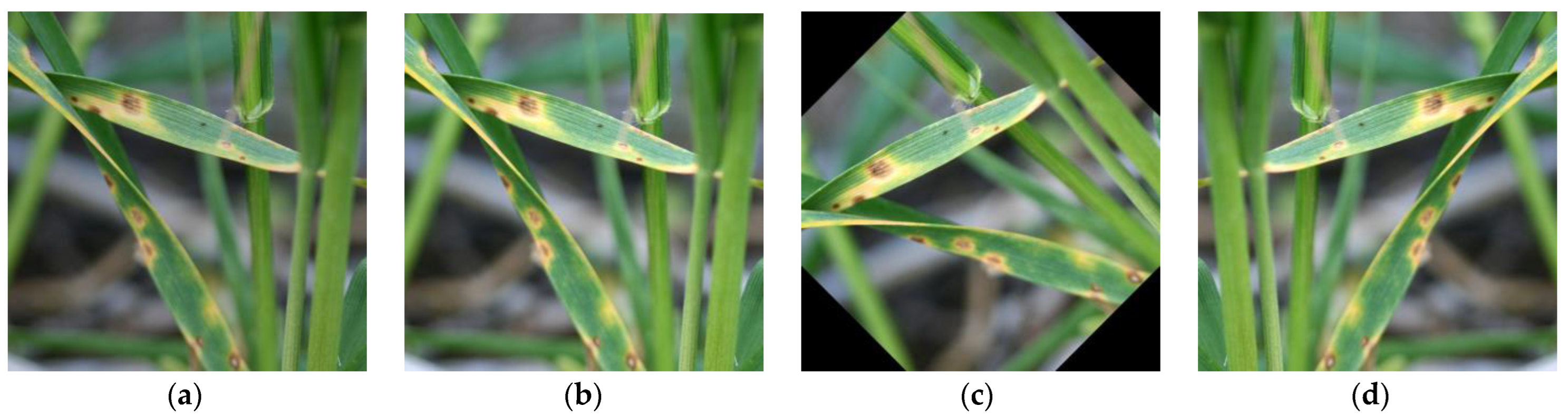 Applsci 13 05801 g002 Applsci 13 05801 g002