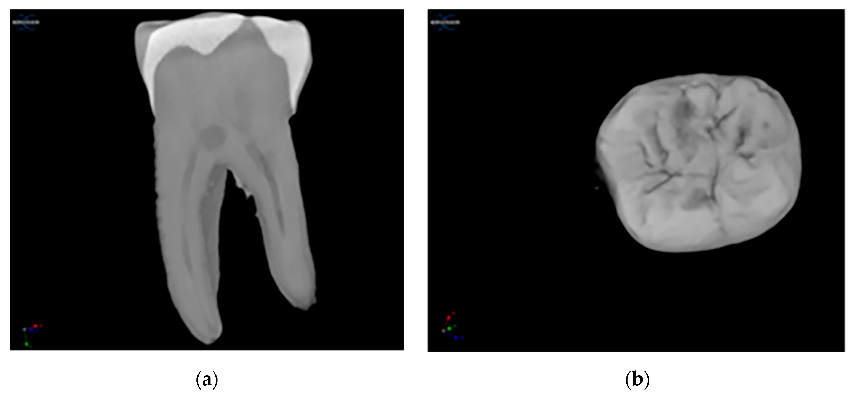 Advanced Material Strategy for Restoring Damaged